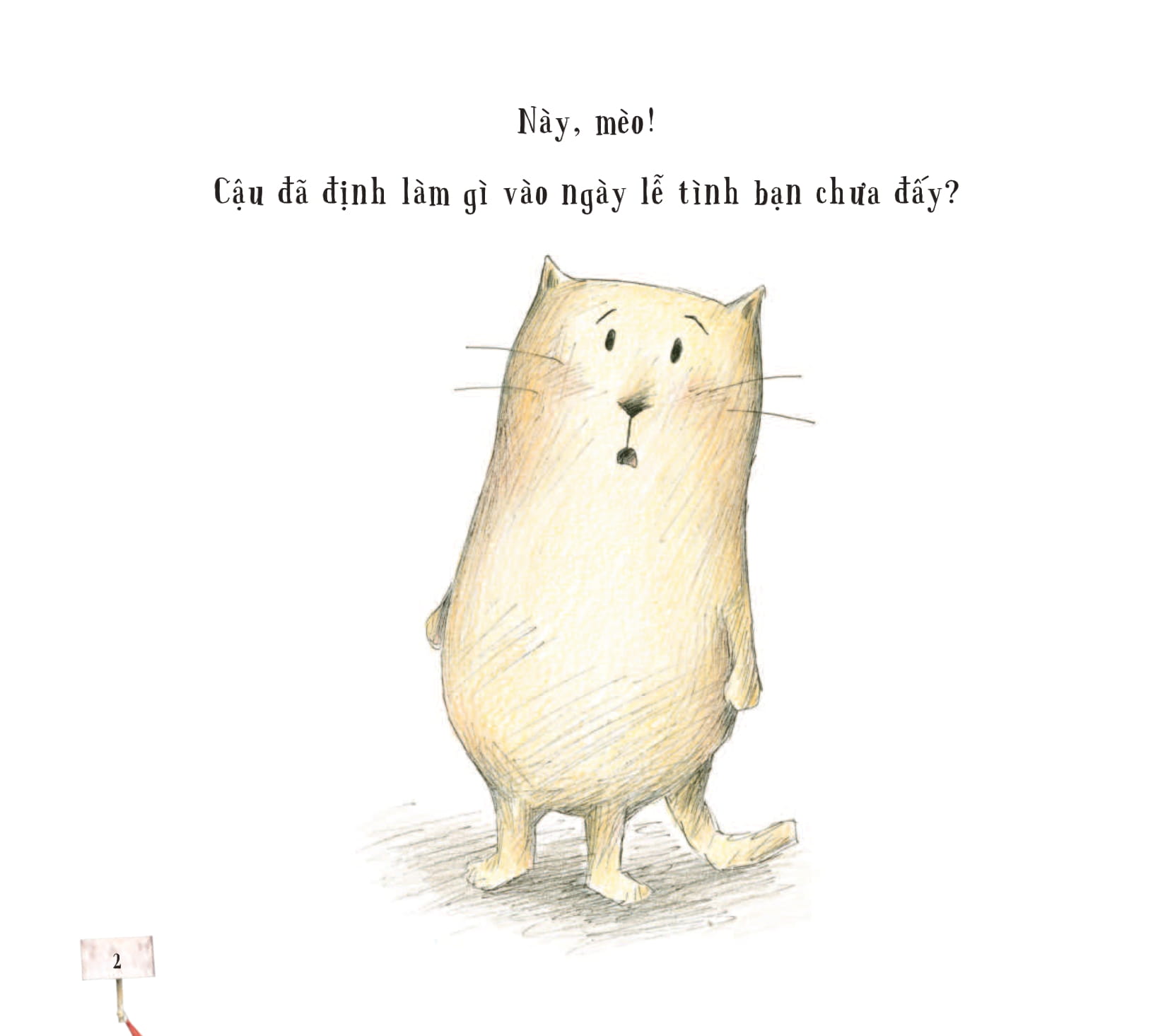 bé có muốn giúp mèo - kết thêm bạn mới? - Ảnh 3