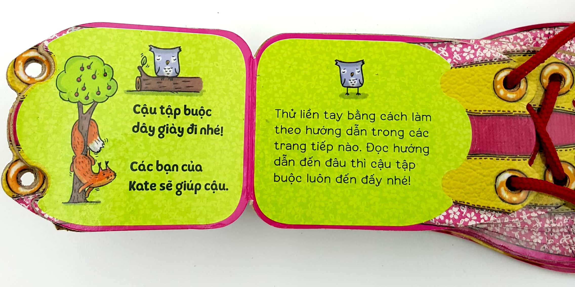 bé gái khéo tay buộc dây giày - Ảnh 2