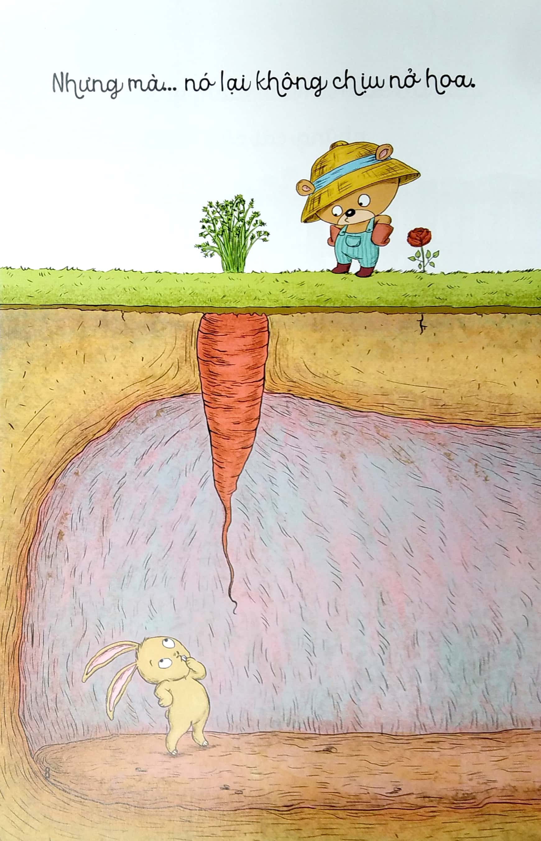 bé học điều hay qua câu chuyện nhỏ - gấu con tinh nghịch - cây ơi, sao bạn không nở hoa? - Ảnh 5