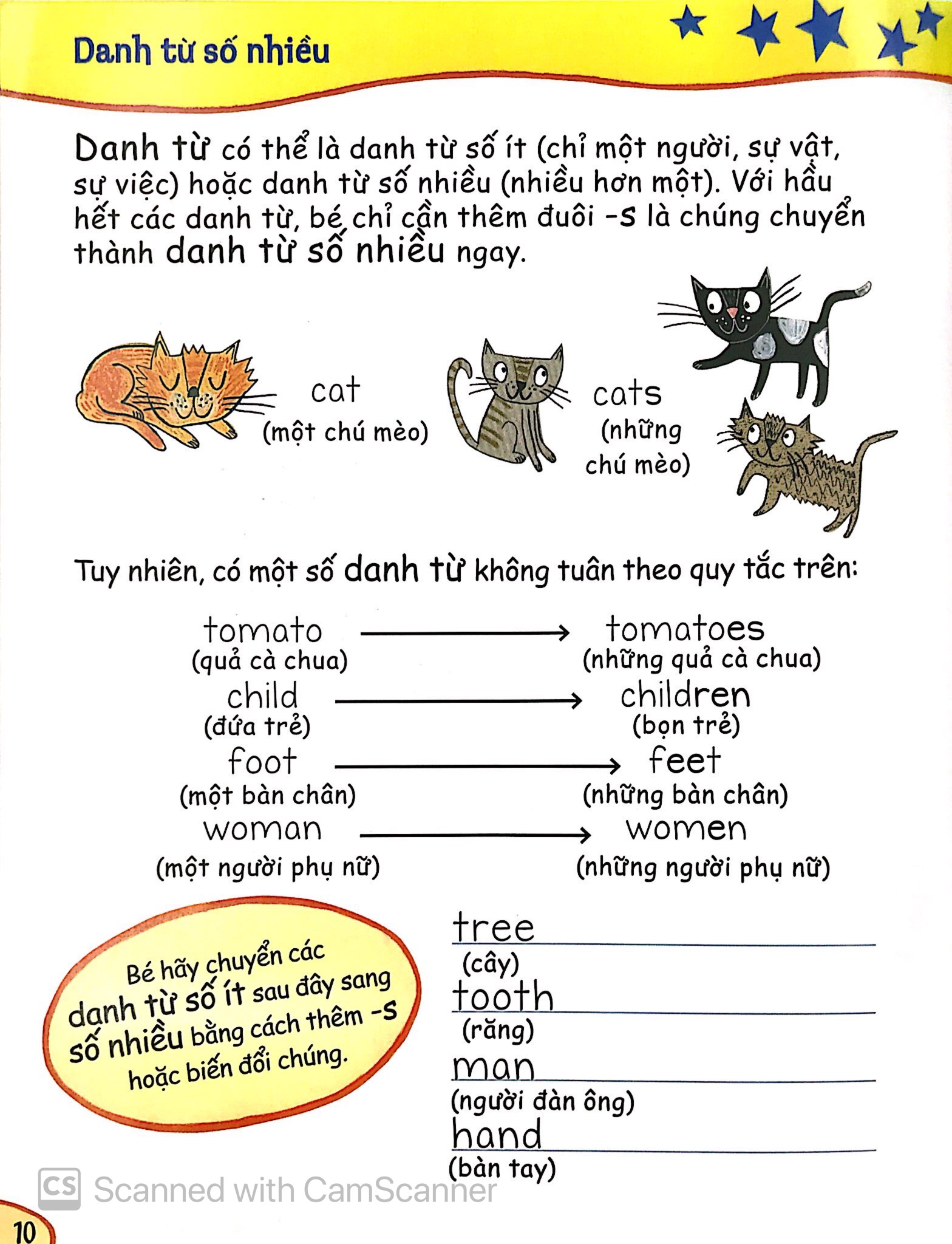 bé học ngữ pháp tiếng anh - danh từ (5 - 7 tuổi) - Ảnh 8