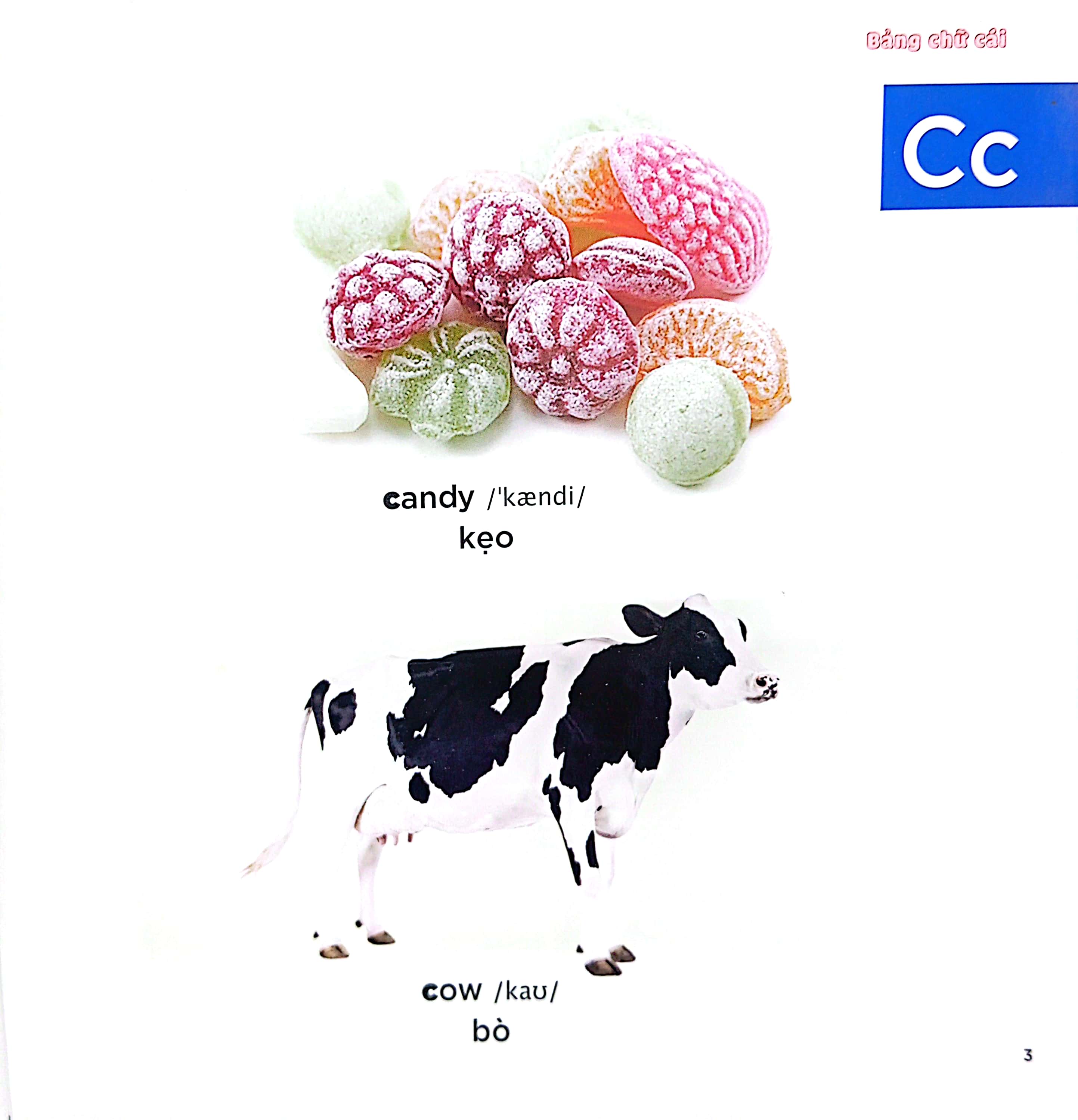 bé học tiếng anh qua hình ảnh - english for children - bảng chữ cái - learning alphabet - Ảnh 4