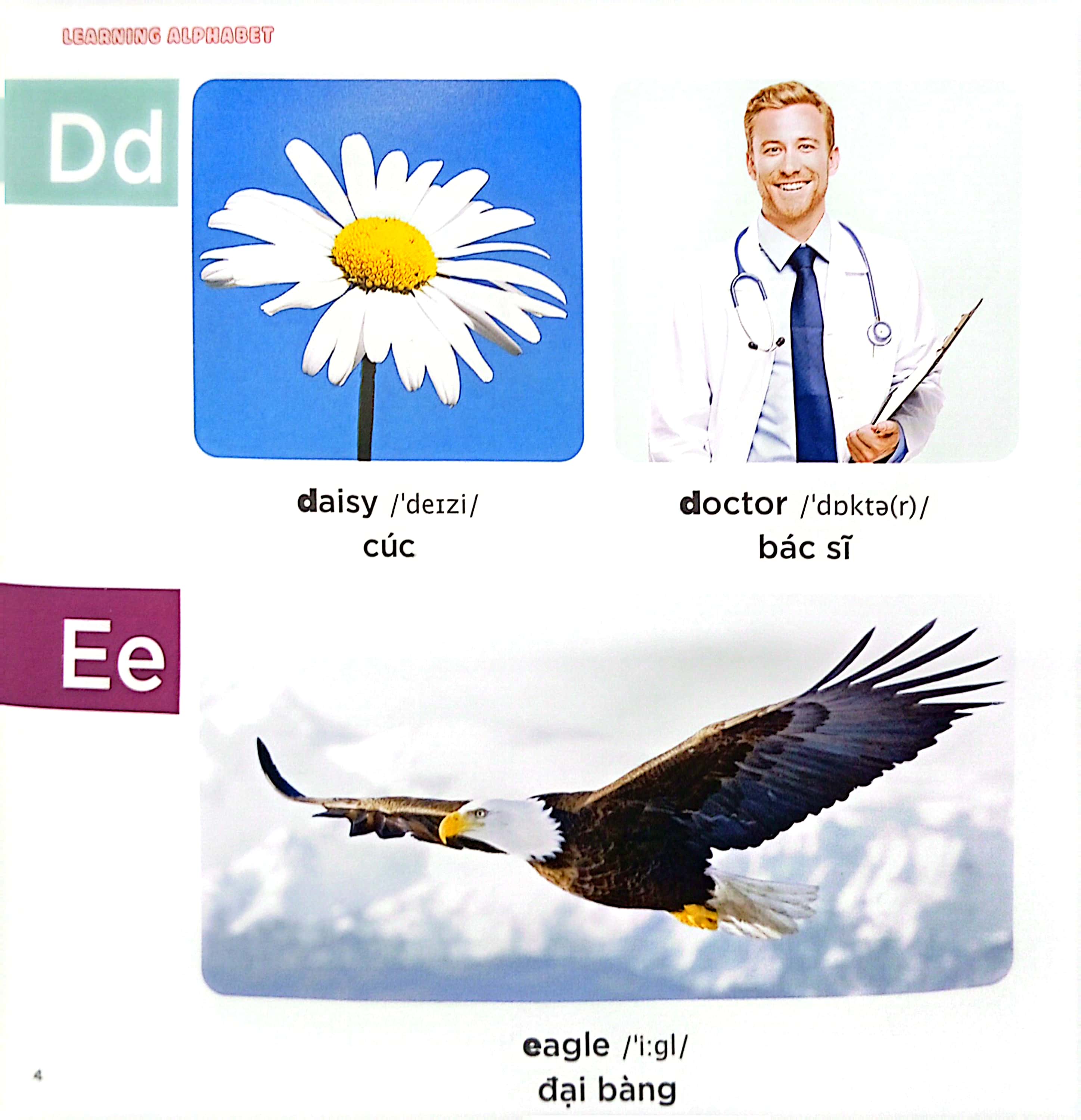 bé học tiếng anh qua hình ảnh - english for children - bảng chữ cái - learning alphabet - Ảnh 5