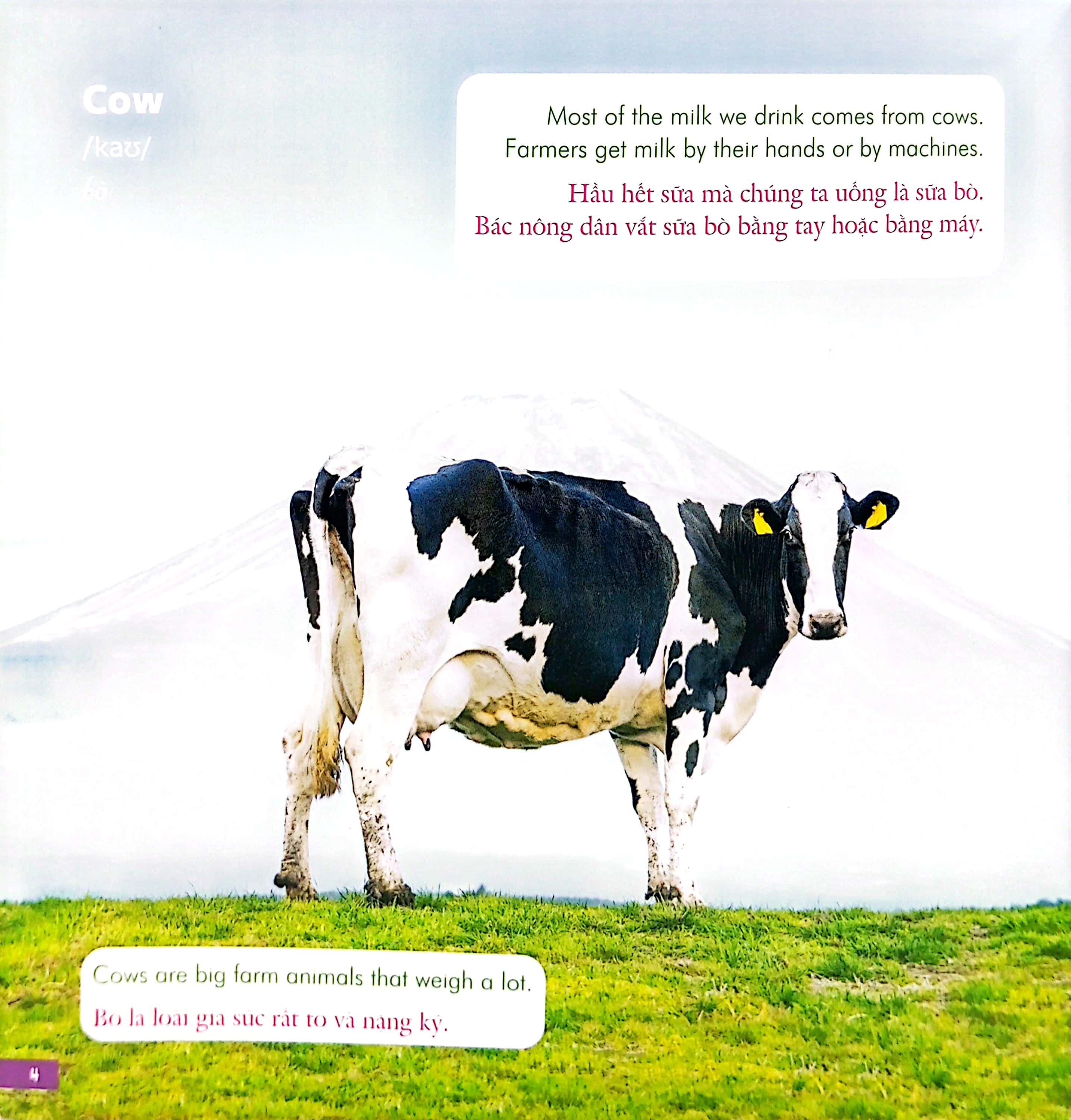 bé học tiếng anh qua hình ảnh - english for children - động vật nông trại - farm life - Ảnh 5