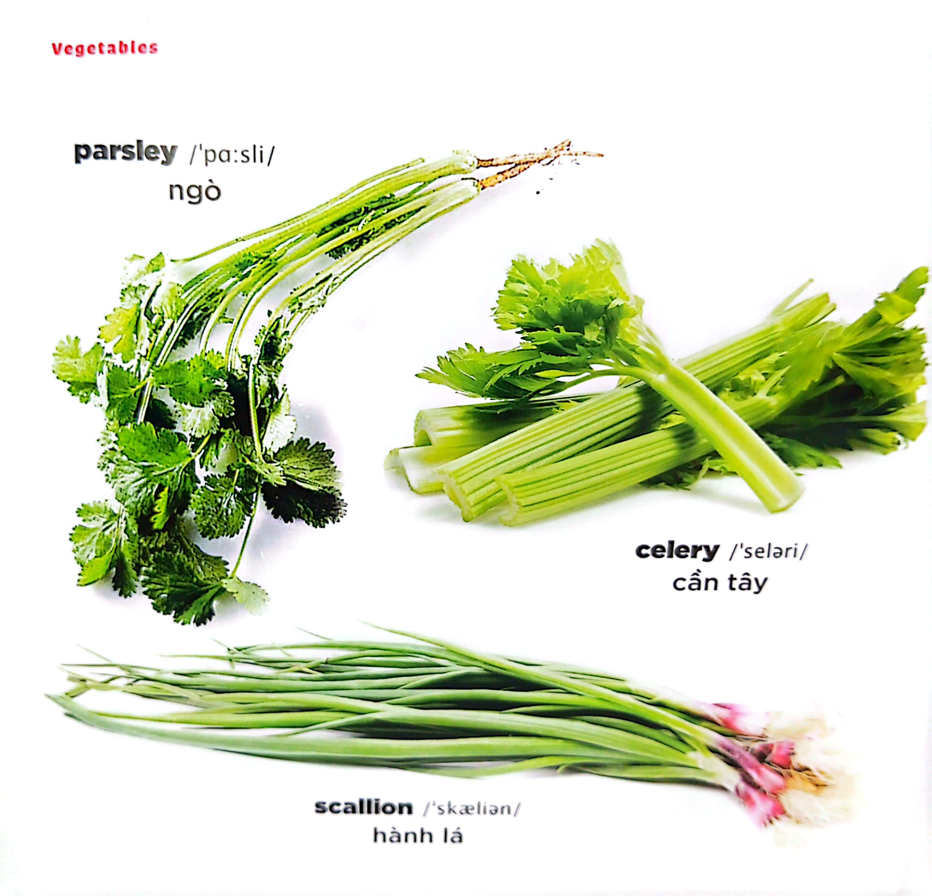 bé học tiếng anh qua hình ảnh - english for children - rau củ - vegetables - Ảnh 3