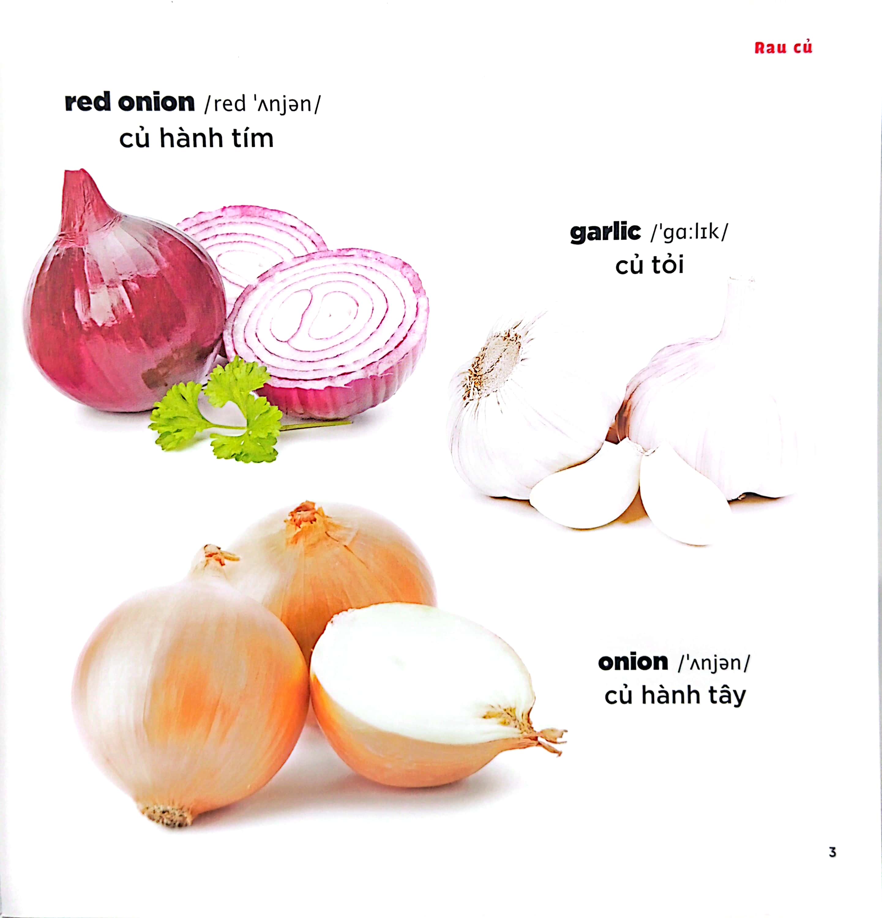 bé học tiếng anh qua hình ảnh - english for children - rau củ - vegetables - Ảnh 4