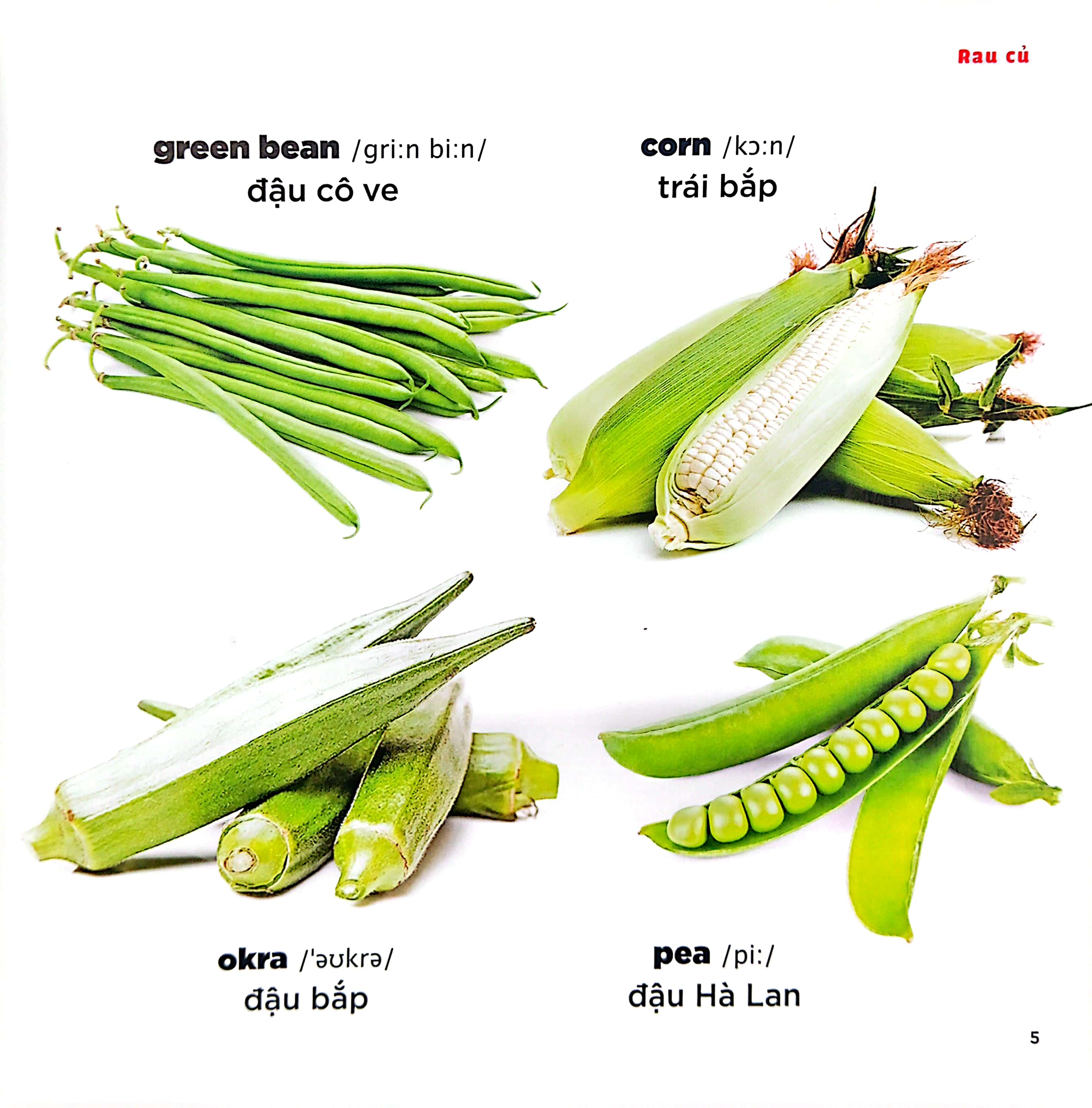 bé học tiếng anh qua hình ảnh - english for children - rau củ - vegetables - Ảnh 6