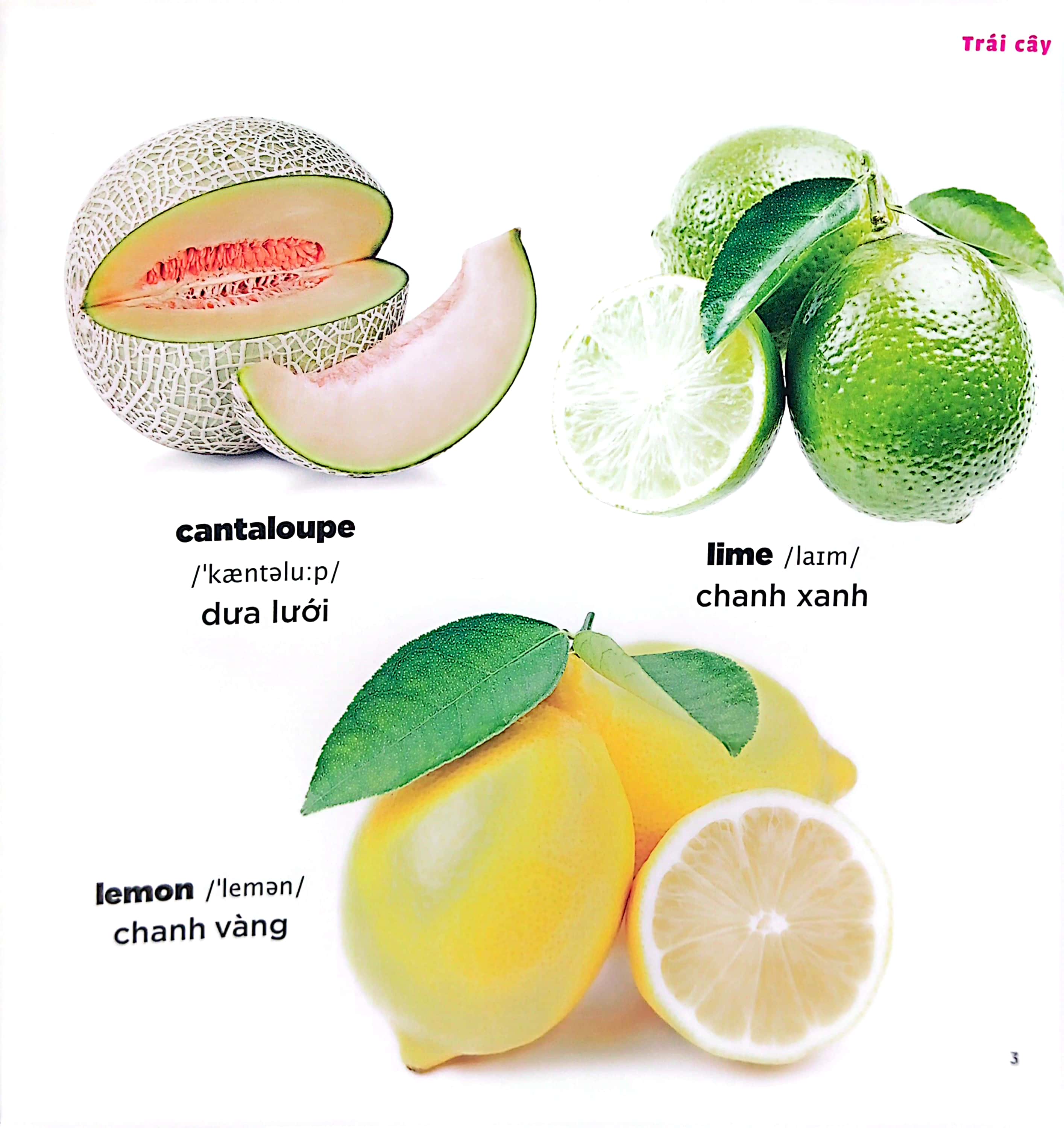 bé học tiếng anh qua hình ảnh - english for children - trái cây - fruits - Ảnh 4