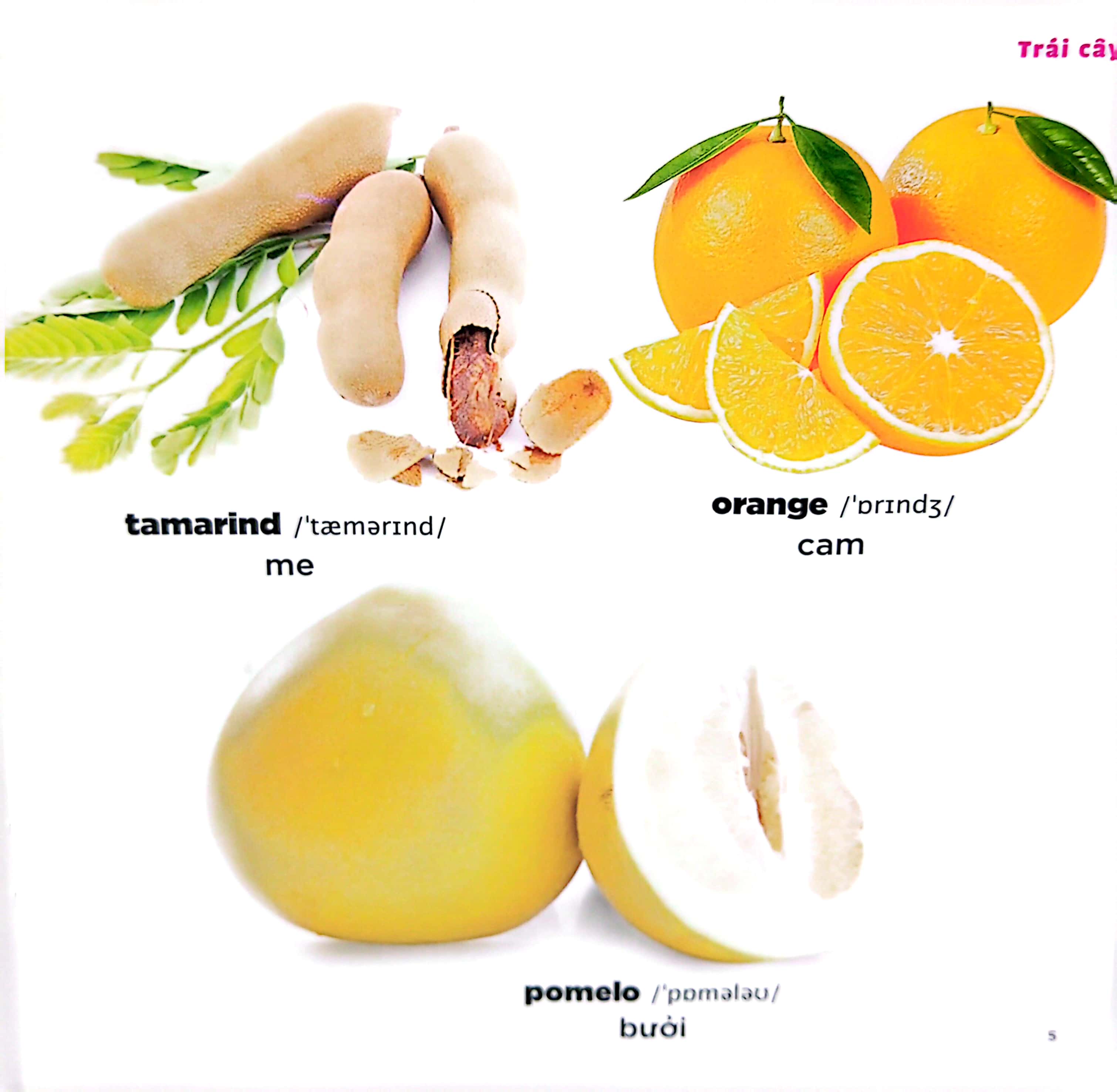 bé học tiếng anh qua hình ảnh - english for children - trái cây - fruits - Ảnh 6