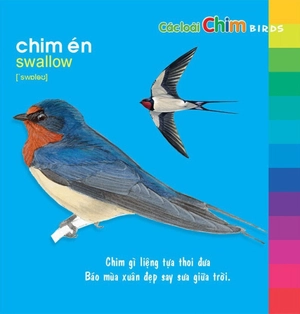 bé khám phá môi trường xung quanh - các loài chim (tái bản 2024) - Ảnh 3