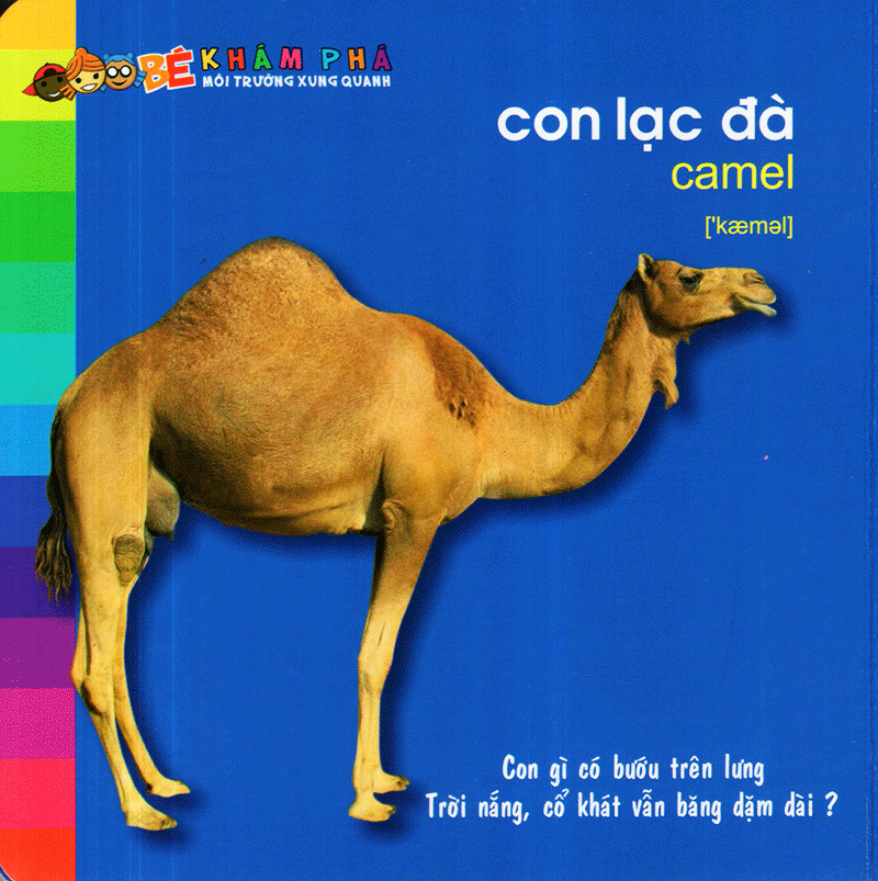 bé khám phá môi trường xung quanh - động vật hoang dã (tái bản) - Ảnh 4