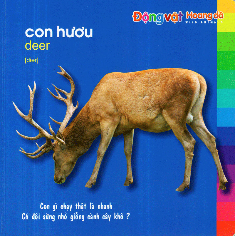 bé khám phá môi trường xung quanh - động vật hoang dã (tái bản) - Ảnh 5