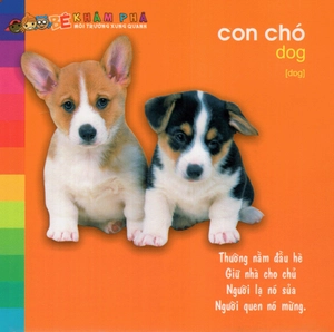 bé khám phá môi trường xung quanh - động vật nuôi (tái bản) - Ảnh 3