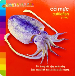 bé khám phá môi trường xung quanh - động vật sống dưới nước (2022) - Ảnh 5