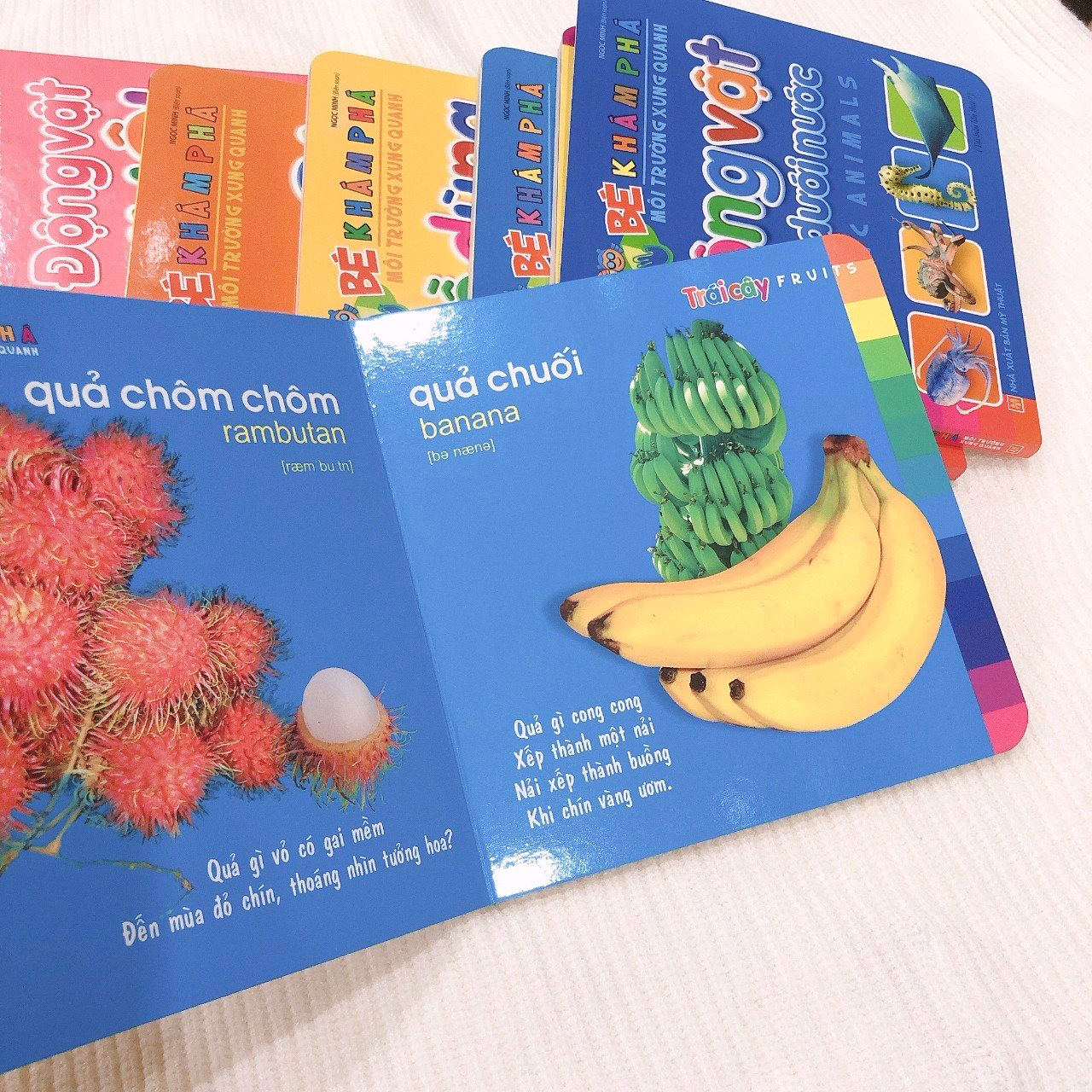 bé khám phá môi trường xung quanh - trái cây - fruits (2022) - Ảnh 5