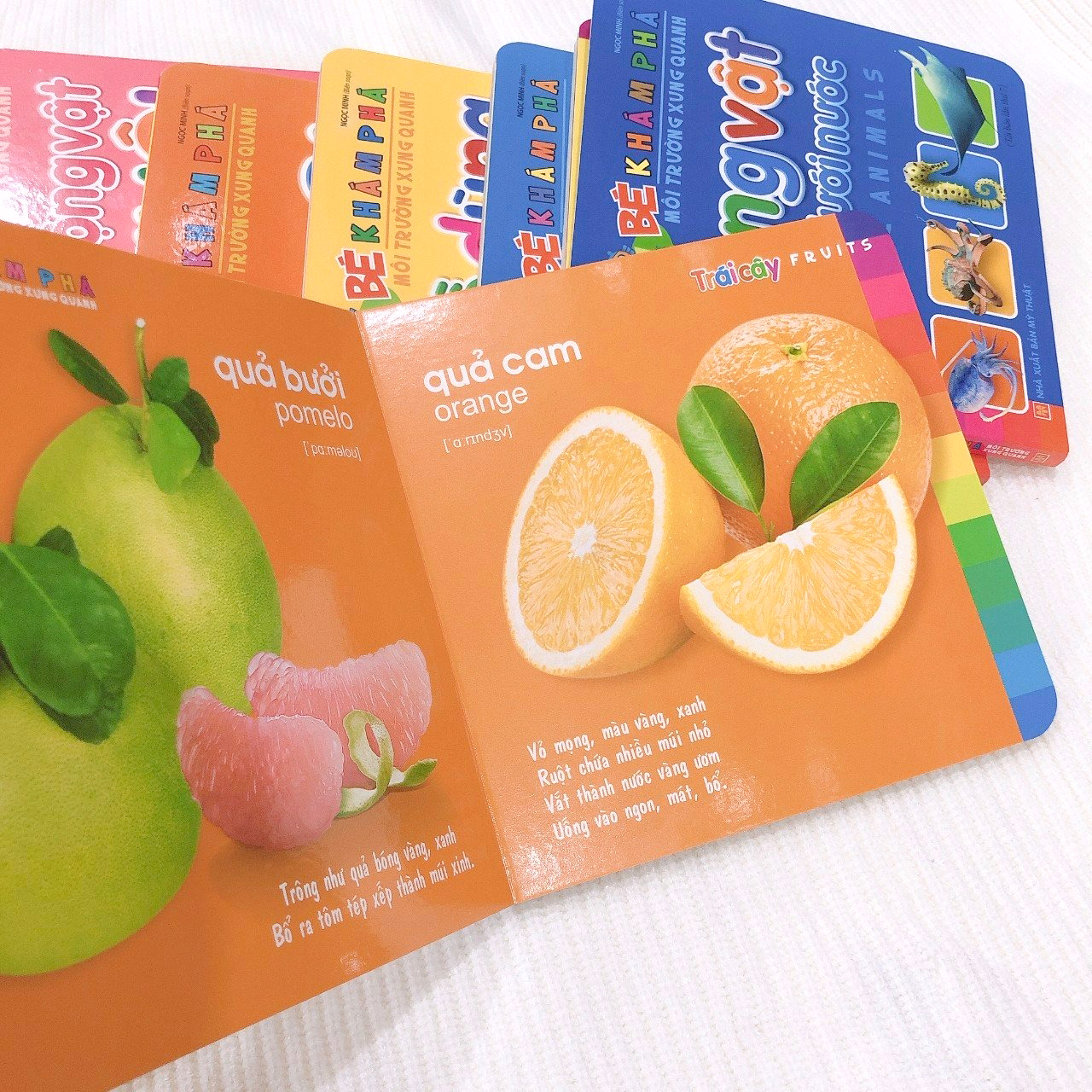 bé khám phá môi trường xung quanh - trái cây - fruits (2022) - Ảnh 6