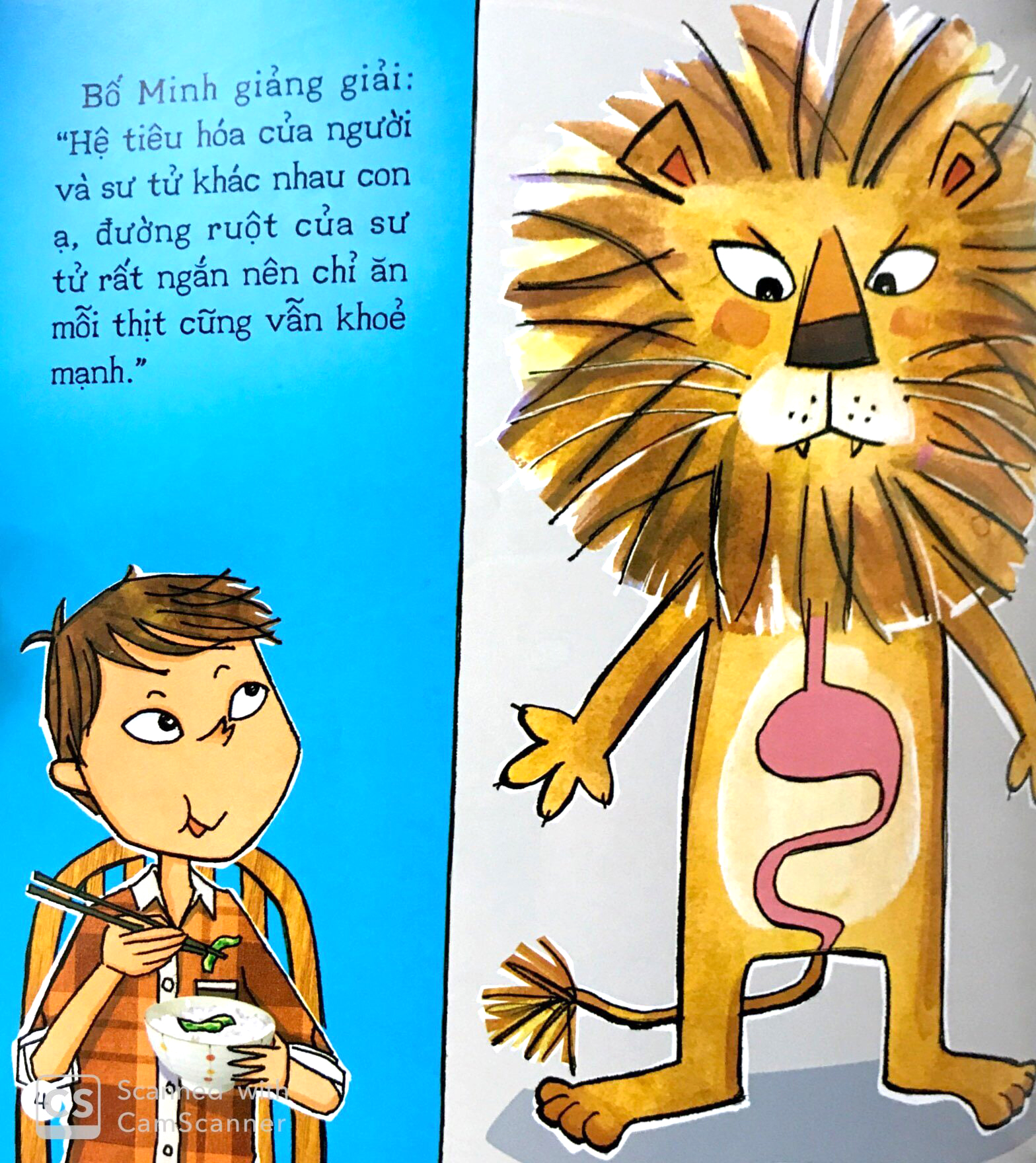 bé khoẻ mỗi ngày - nếu không ăn rau thì sao? - Ảnh 4