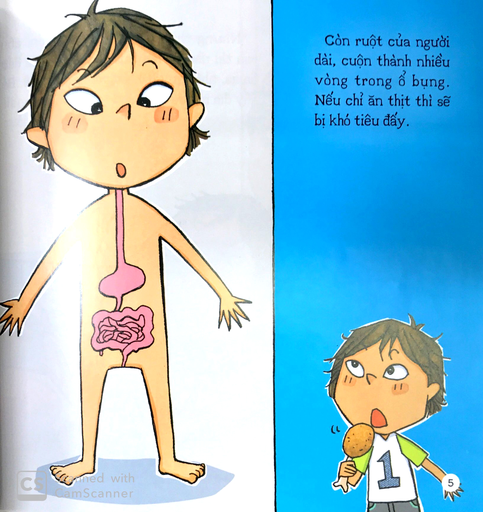 bé khoẻ mỗi ngày - nếu không ăn rau thì sao? - Ảnh 5