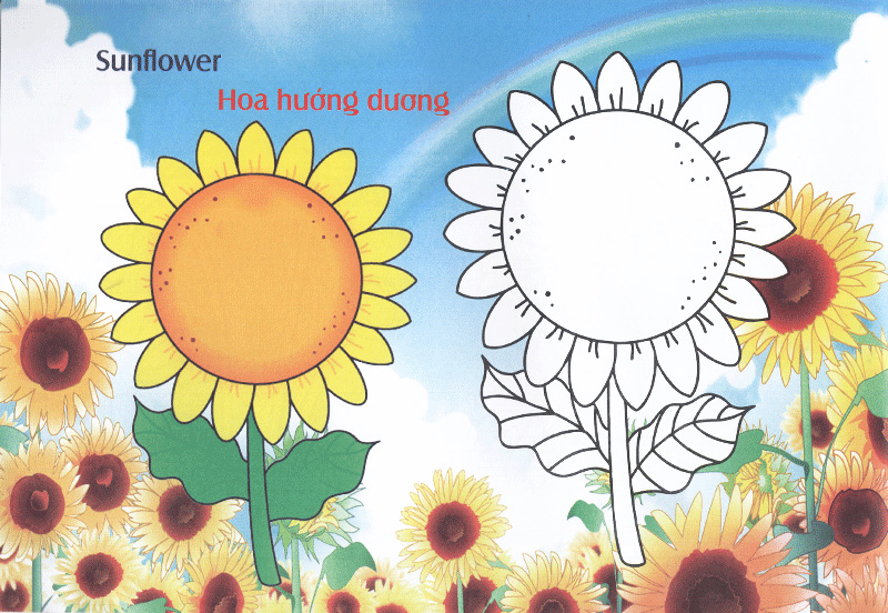 bé làm quen môi trường - các loài hoa - Ảnh 4