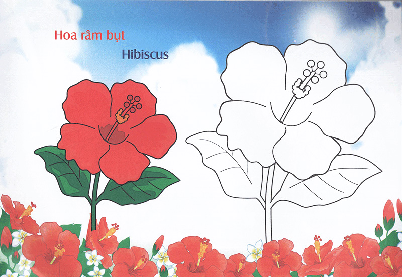 bé làm quen môi trường - các loài hoa - Ảnh 7