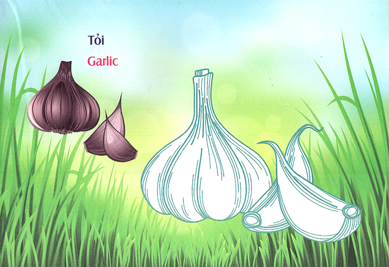 bé làm quen môi trường - rau củ - Ảnh 10