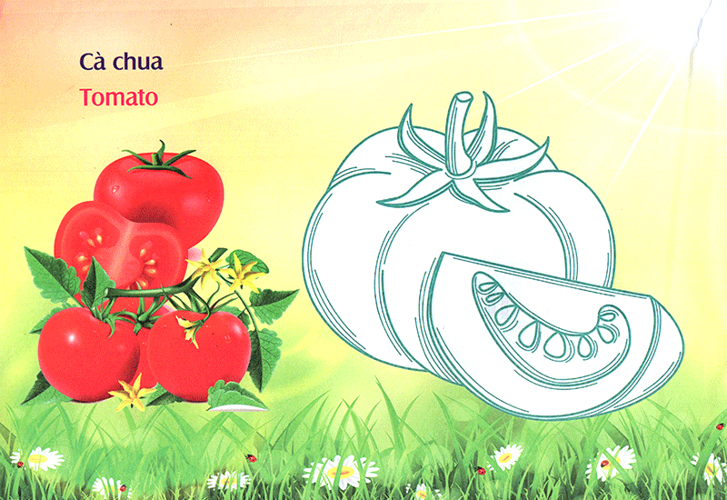 bé làm quen môi trường - rau củ - Ảnh 13