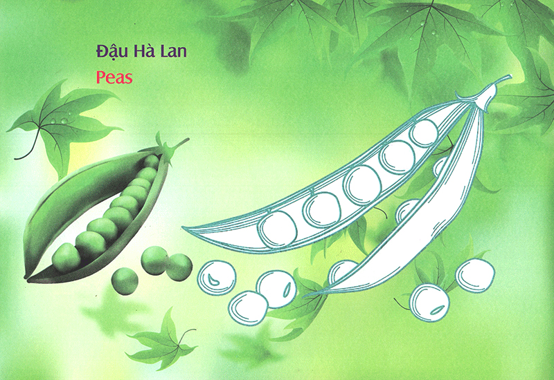 bé làm quen môi trường - rau củ - Ảnh 5