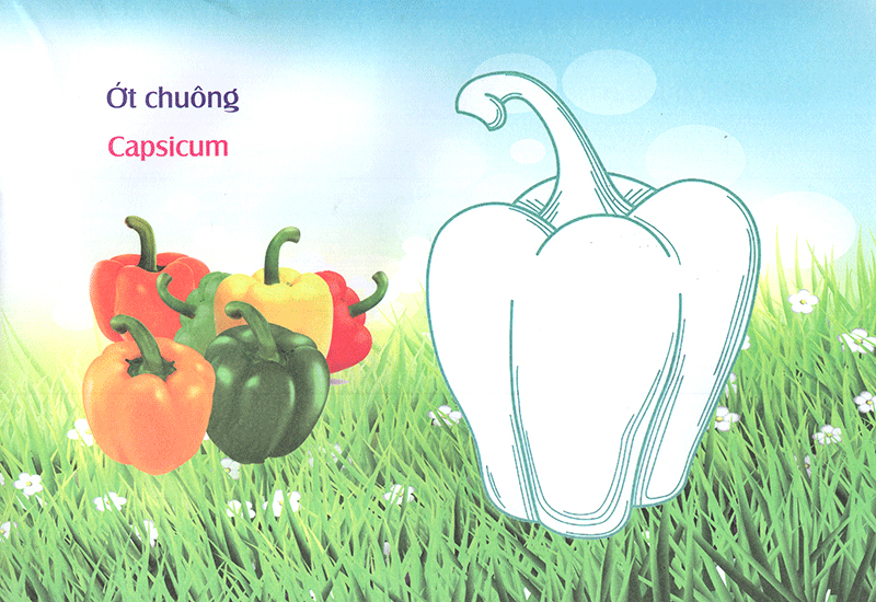 bé làm quen môi trường - rau củ - Ảnh 8