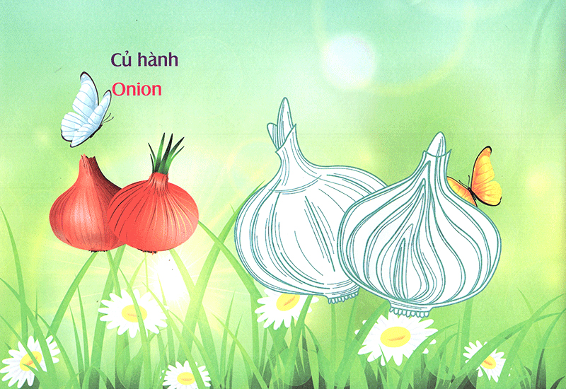 bé làm quen môi trường - rau củ - Ảnh 9