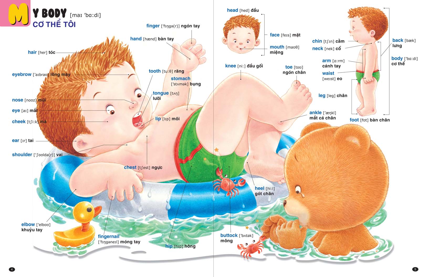 bé làm quen với tiếng anh - gấu bogie học từ - Ảnh 2