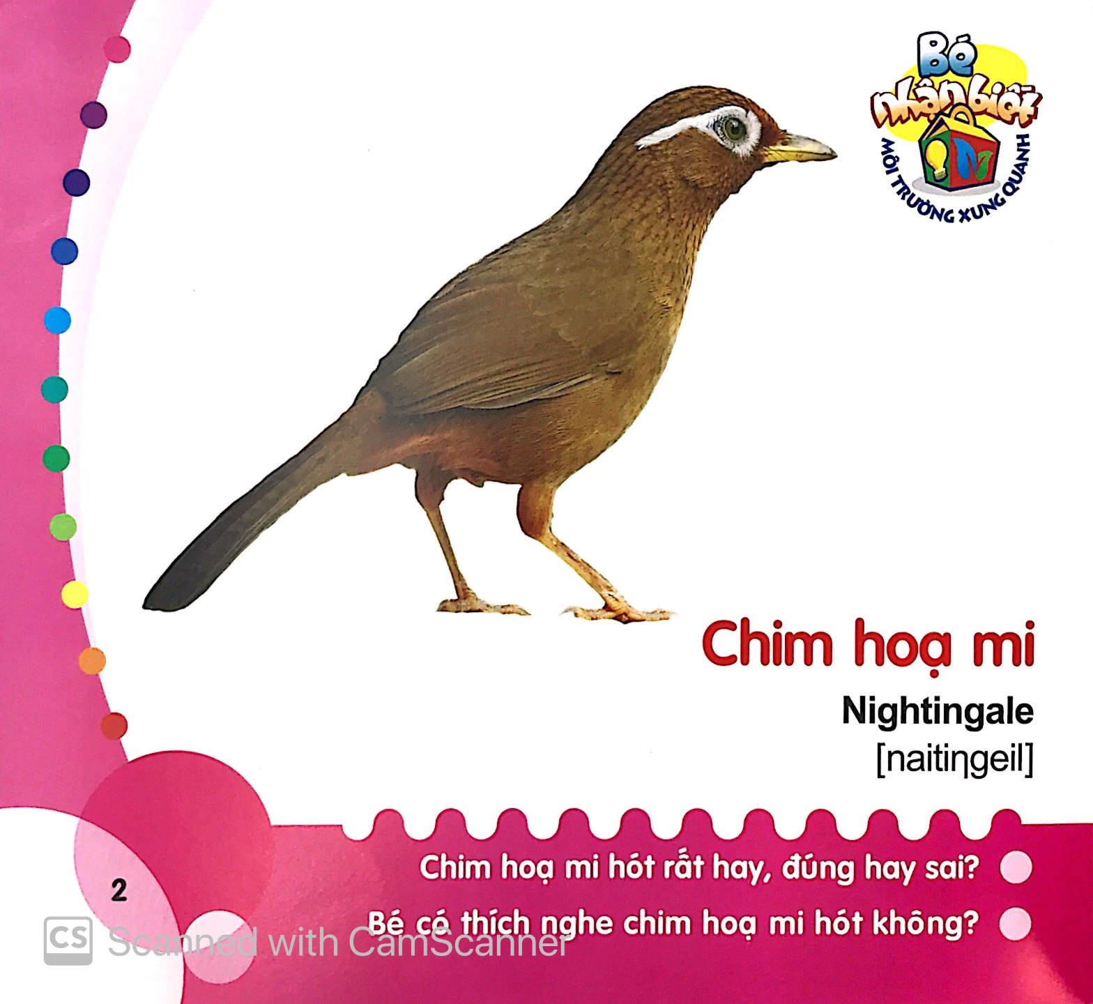 bé nhận biết môi trường xung quanh (0-3 tuổi) chim - Ảnh 3