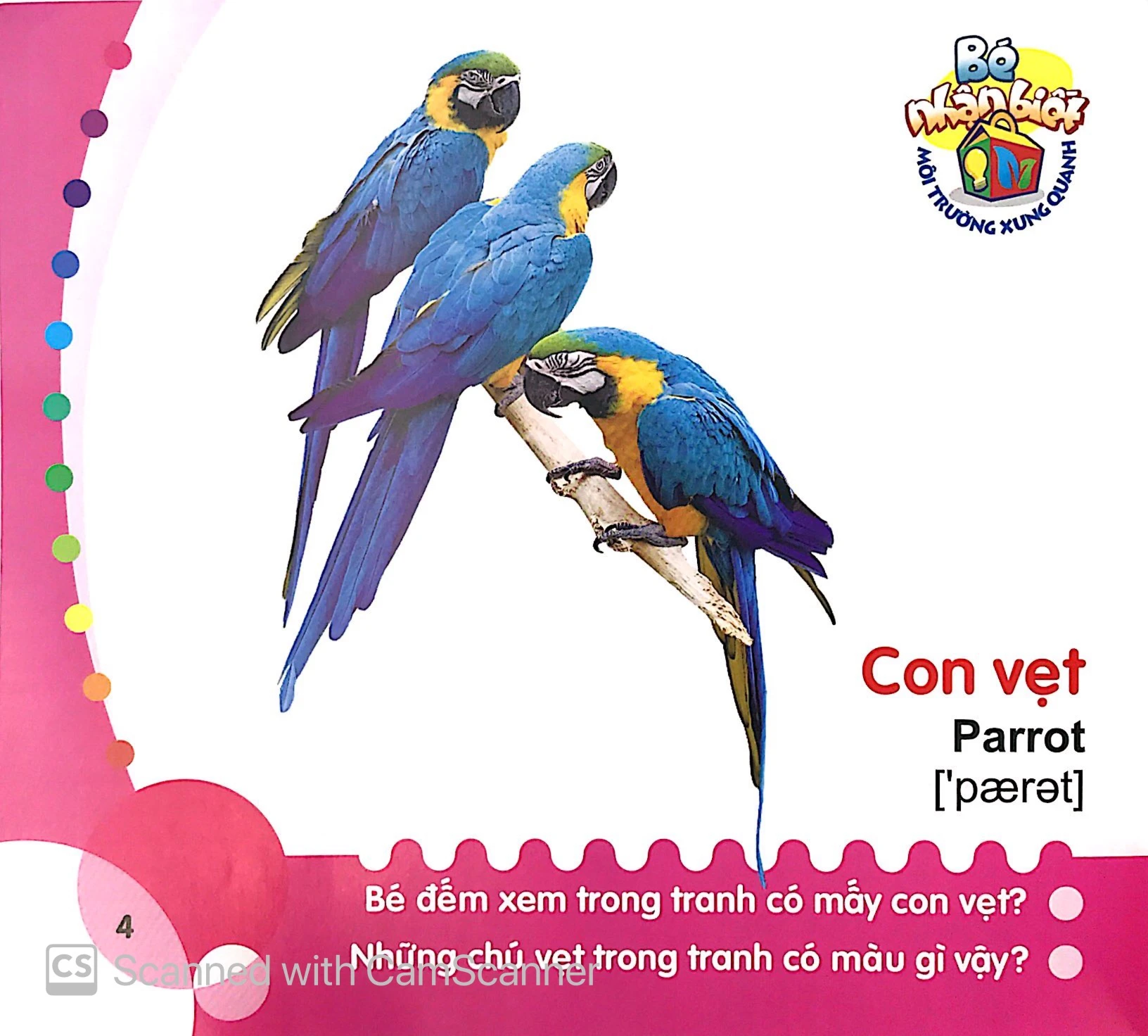 bé nhận biết môi trường xung quanh (0-3 tuổi) chim - Ảnh 5