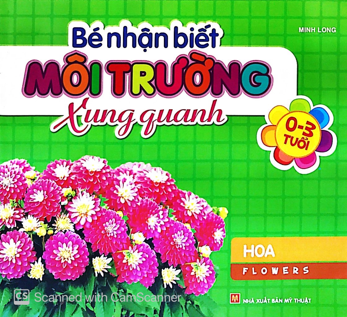 bé nhận biết môi trường xung quanh (0-3 tuổi)_hoa - Ảnh 3