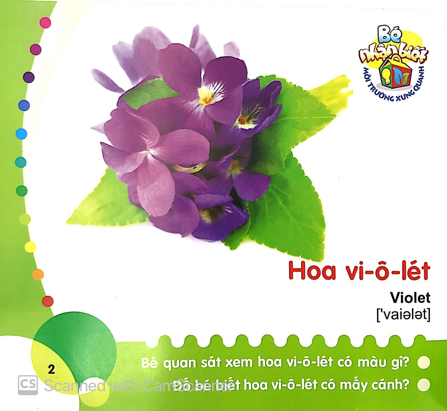 bé nhận biết môi trường xung quanh (0-3 tuổi)_hoa - Ảnh 4