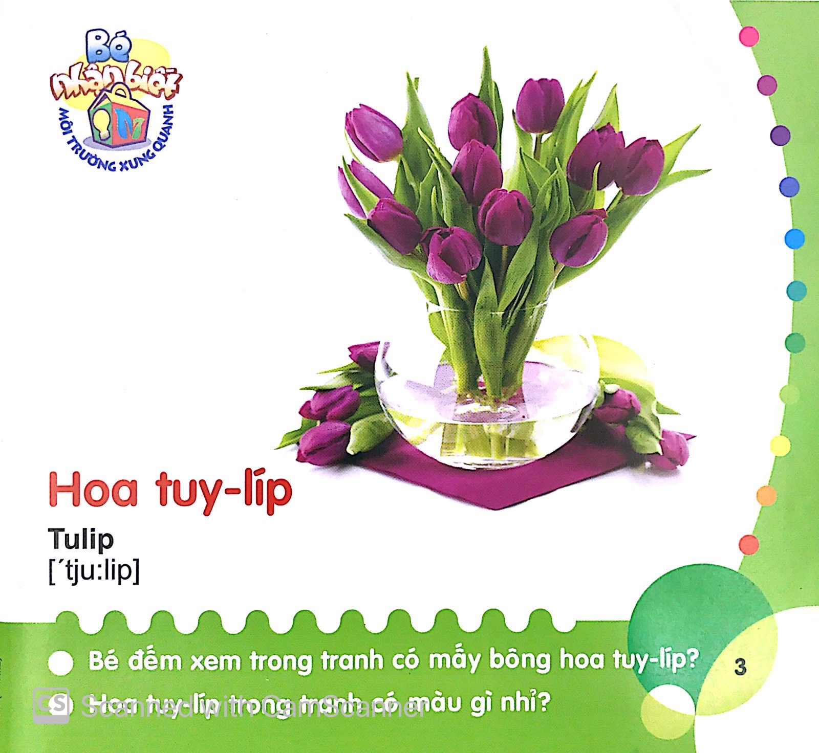 bé nhận biết môi trường xung quanh (0-3 tuổi)_hoa - Ảnh 5