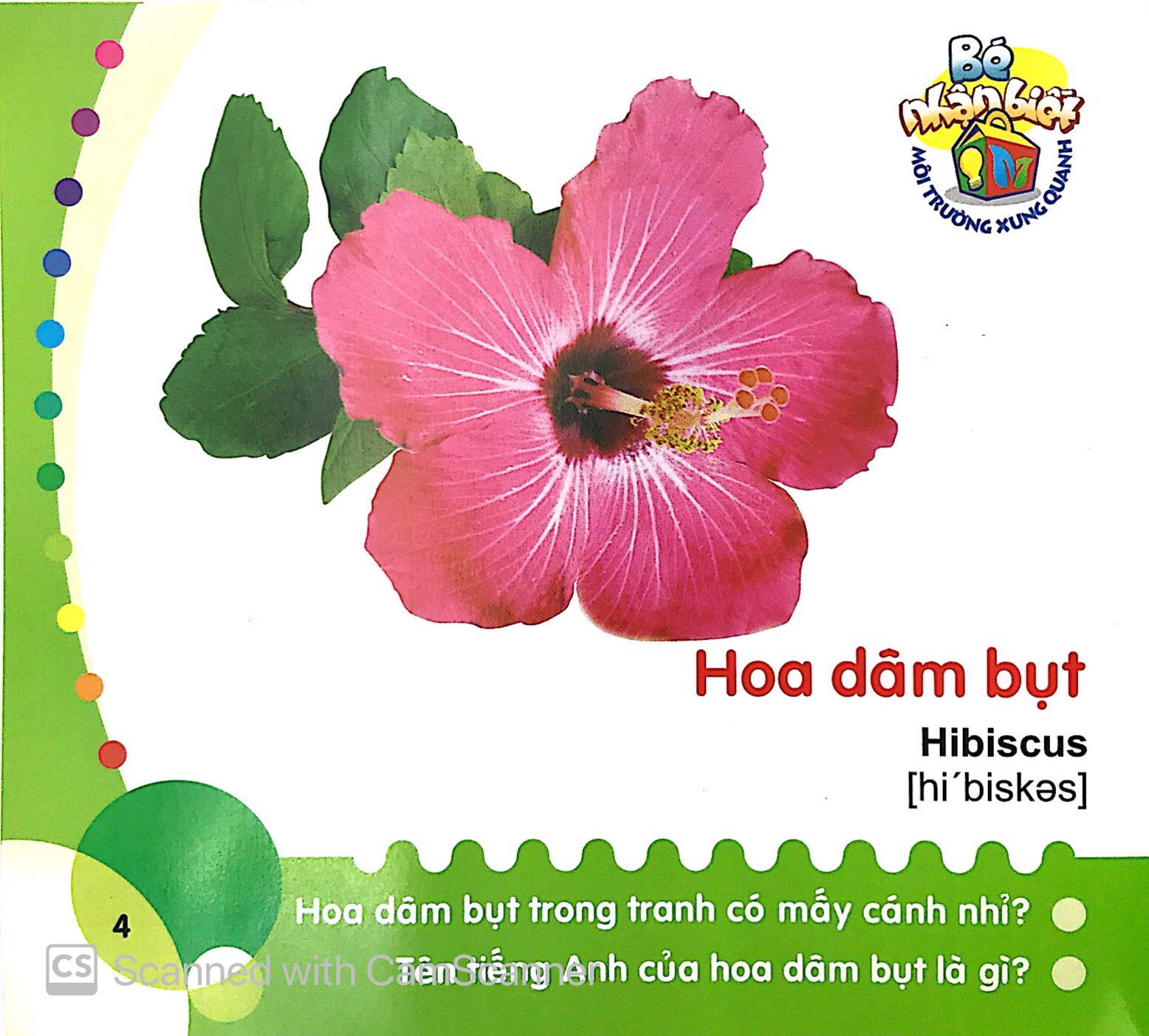 bé nhận biết môi trường xung quanh (0-3 tuổi)_hoa - Ảnh 6