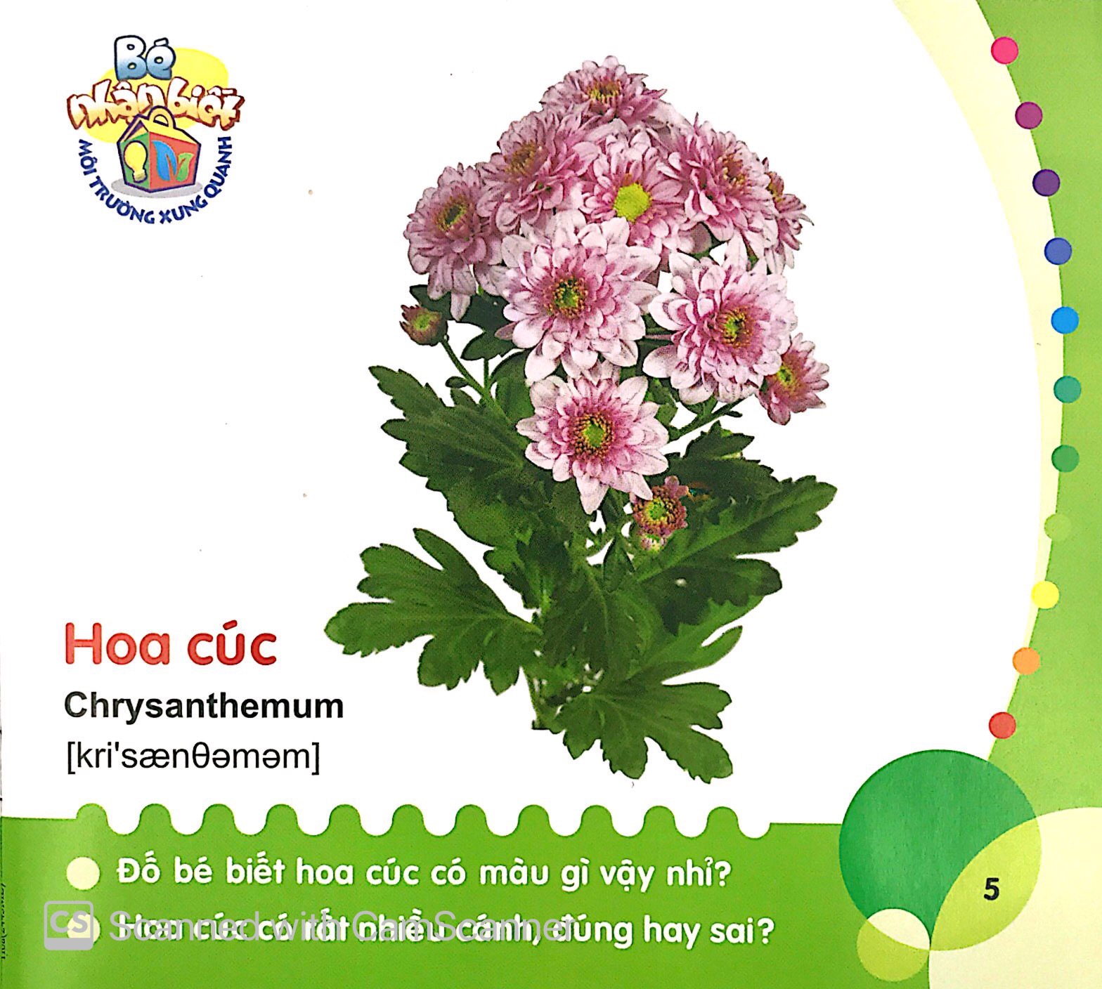 bé nhận biết môi trường xung quanh (0-3 tuổi)_hoa - Ảnh 7