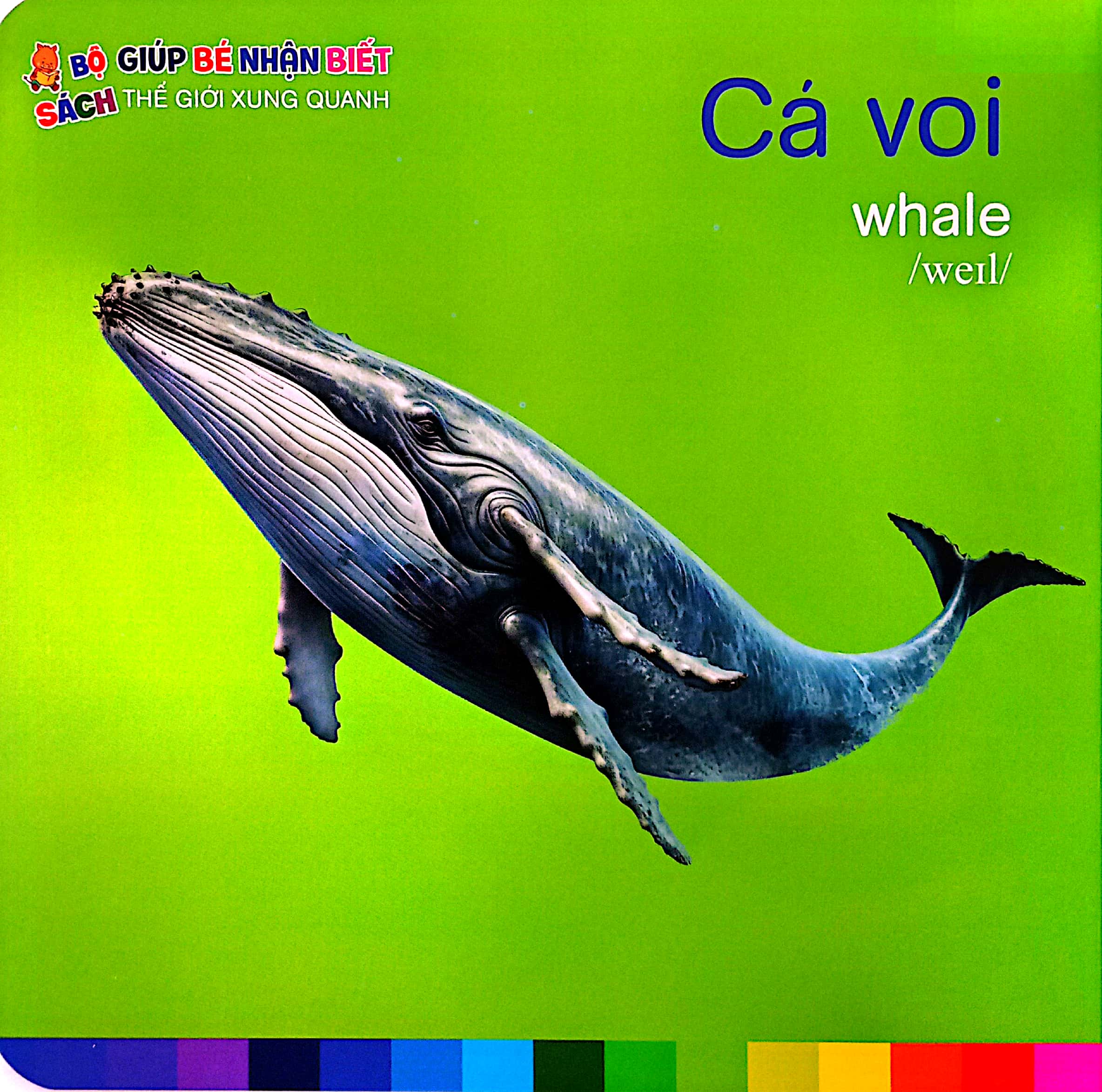 bé nhận biết thế giới xung quanh - động vật dưới biển - sea animals - Ảnh 3