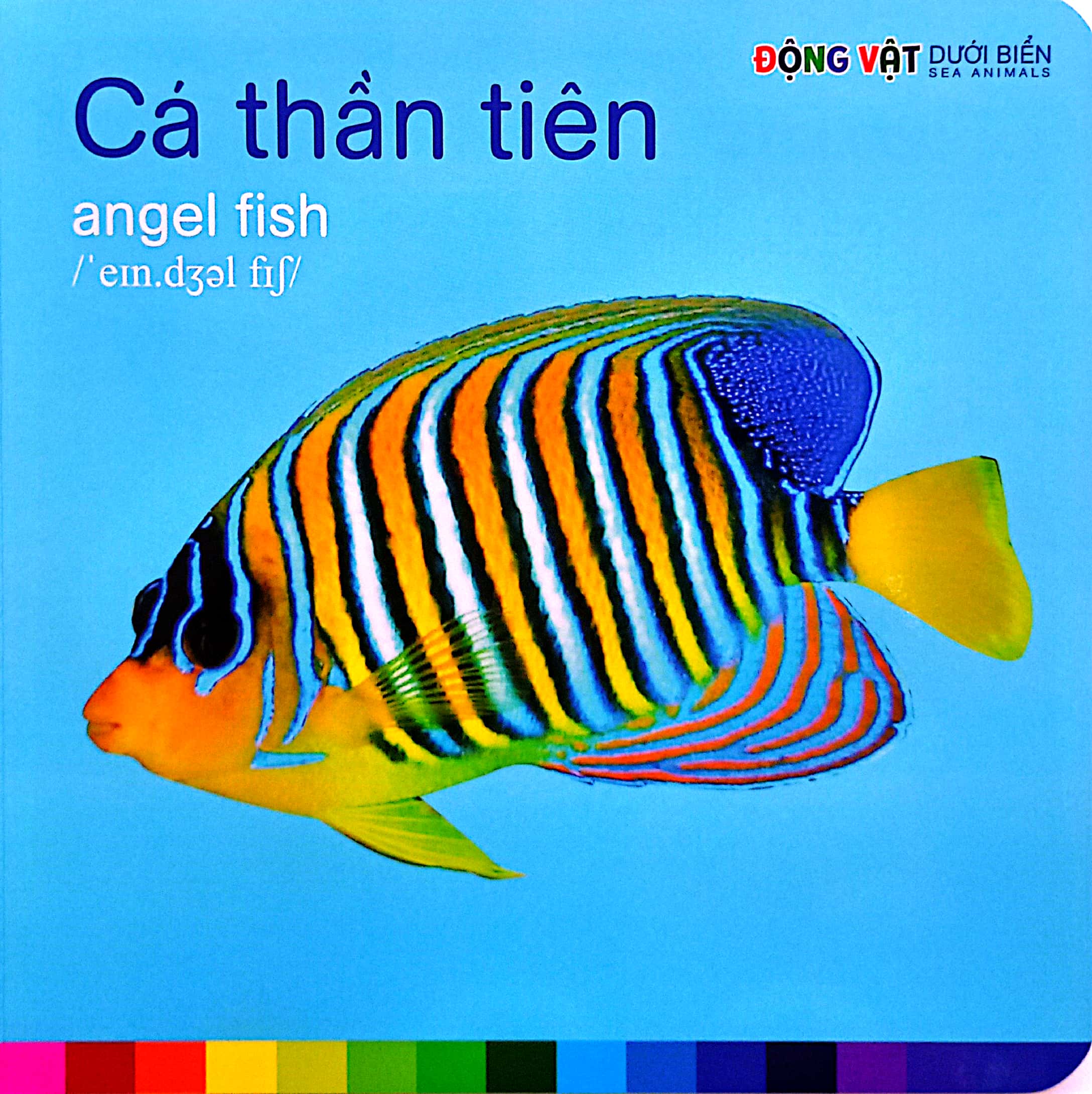 bé nhận biết thế giới xung quanh - động vật dưới biển - sea animals - Ảnh 4