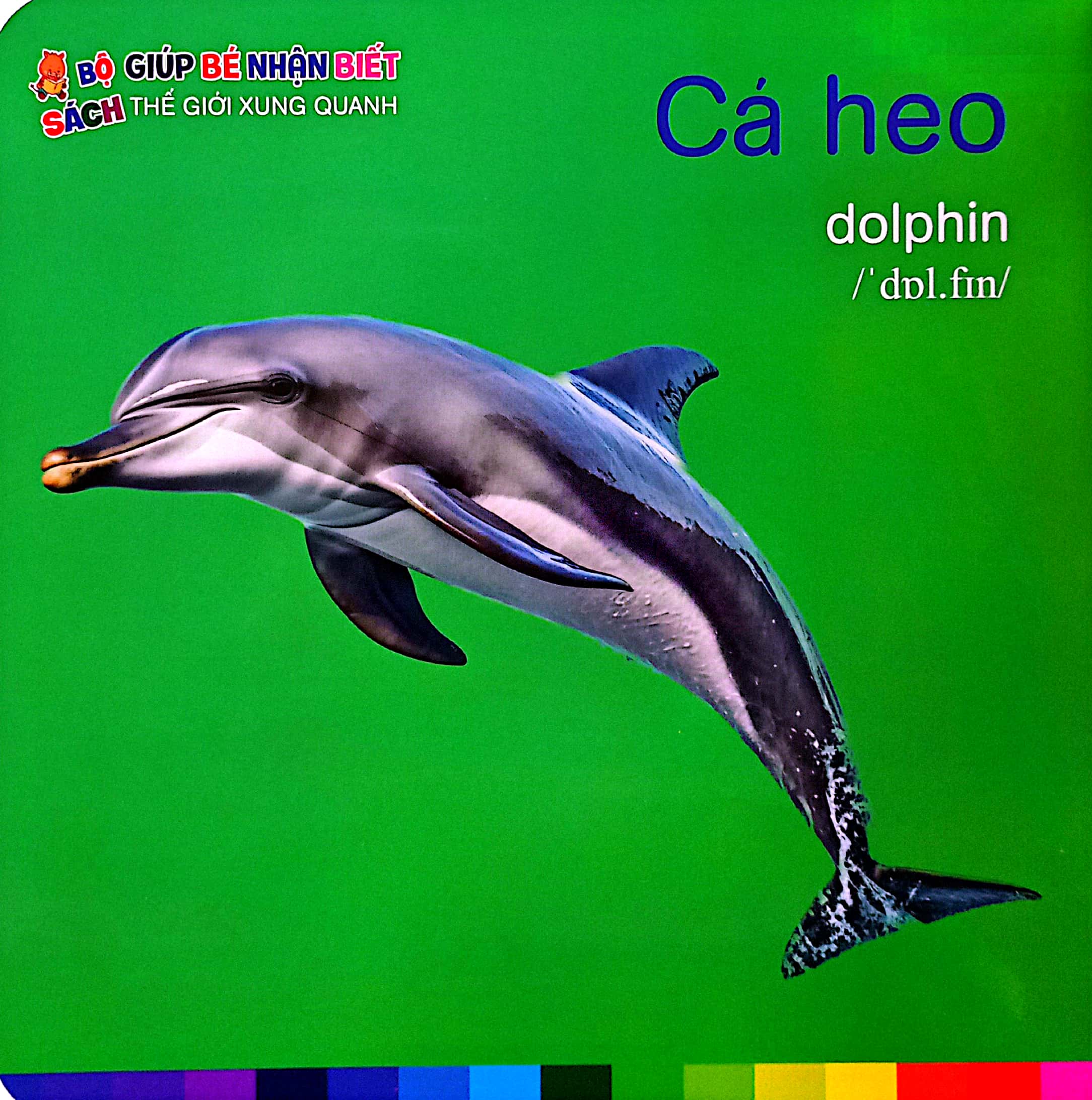 bé nhận biết thế giới xung quanh - động vật dưới biển - sea animals - Ảnh 5