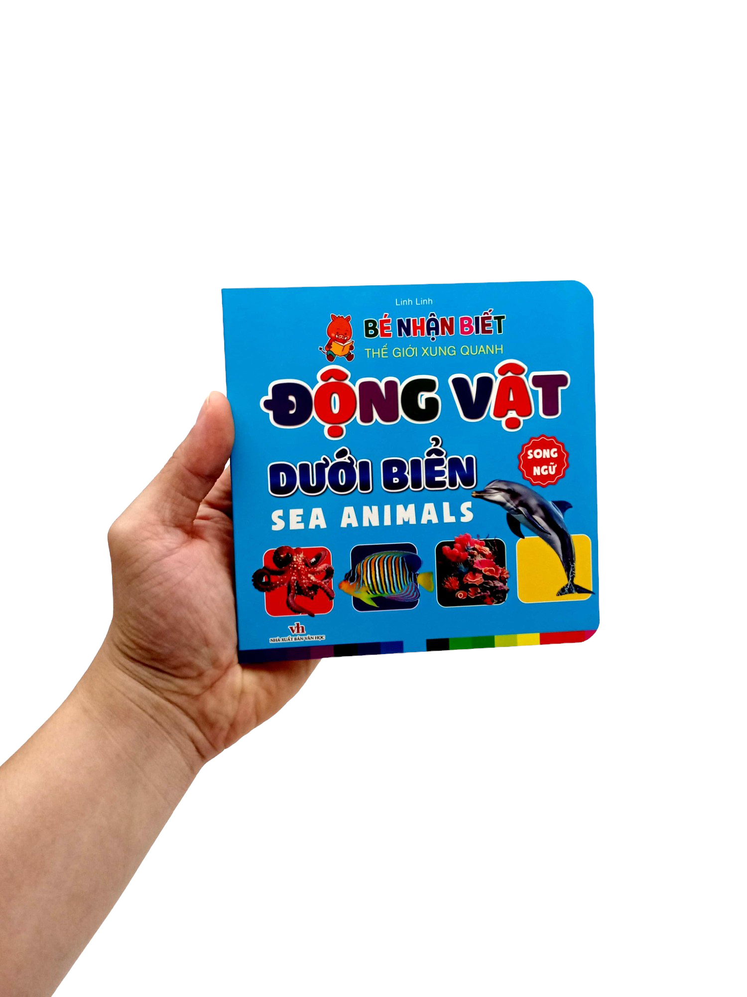 bé nhận biết thế giới xung quanh - động vật dưới biển - sea animals - Ảnh 7