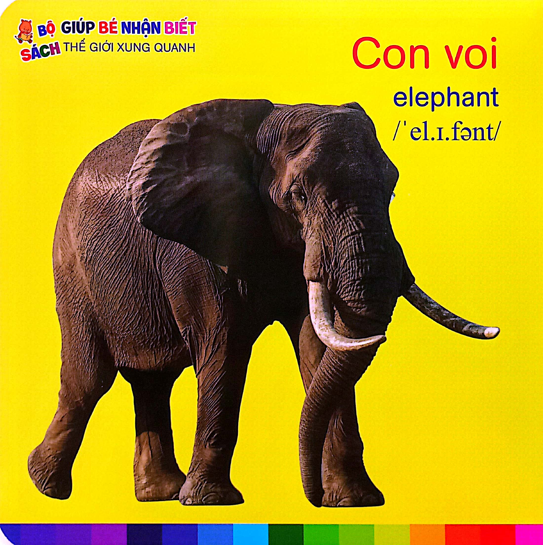 bé nhận biết thế giới xung quanh - động vật hoang dã - wild animals - Ảnh 3