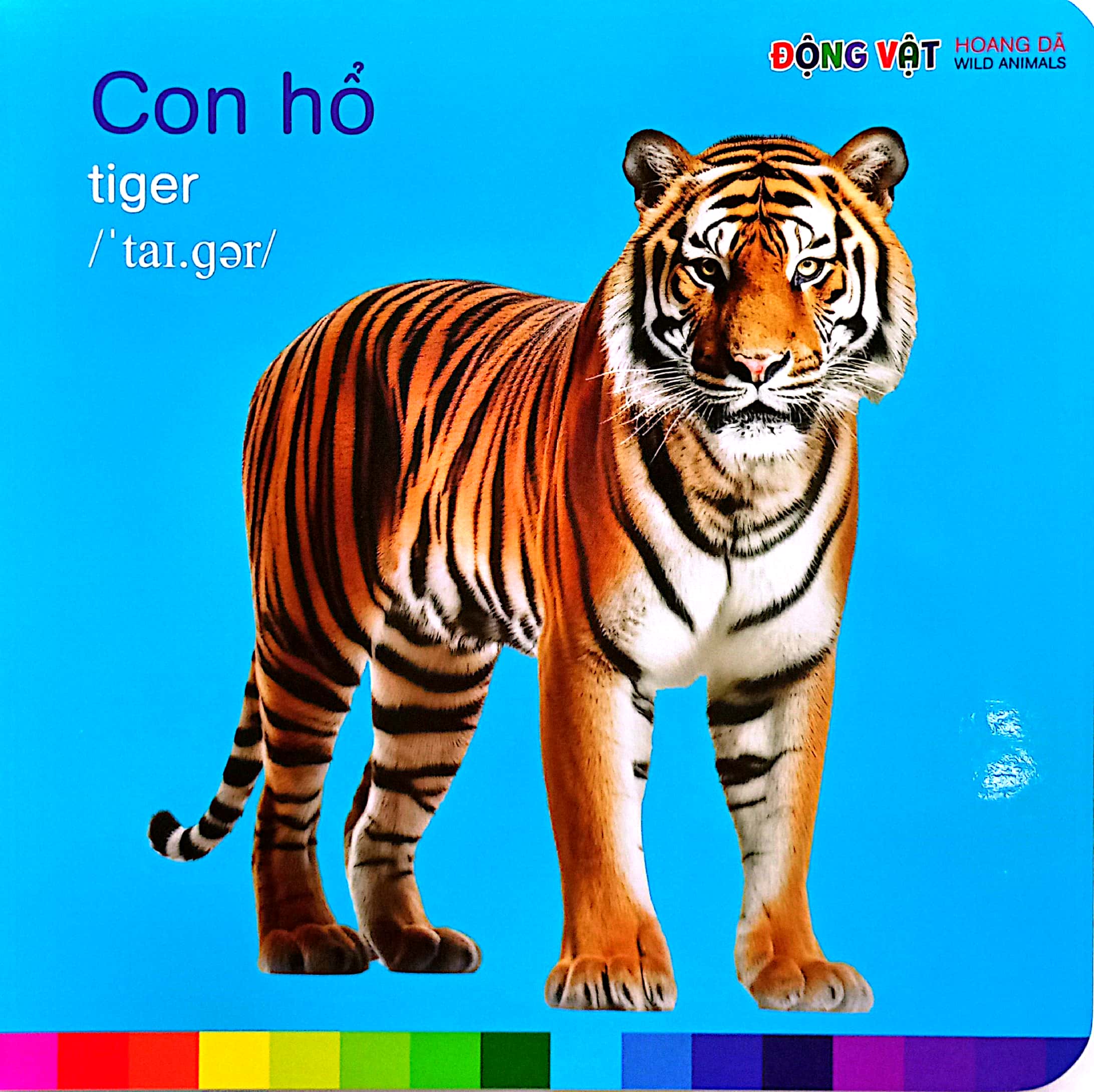 bé nhận biết thế giới xung quanh - động vật hoang dã - wild animals - Ảnh 4