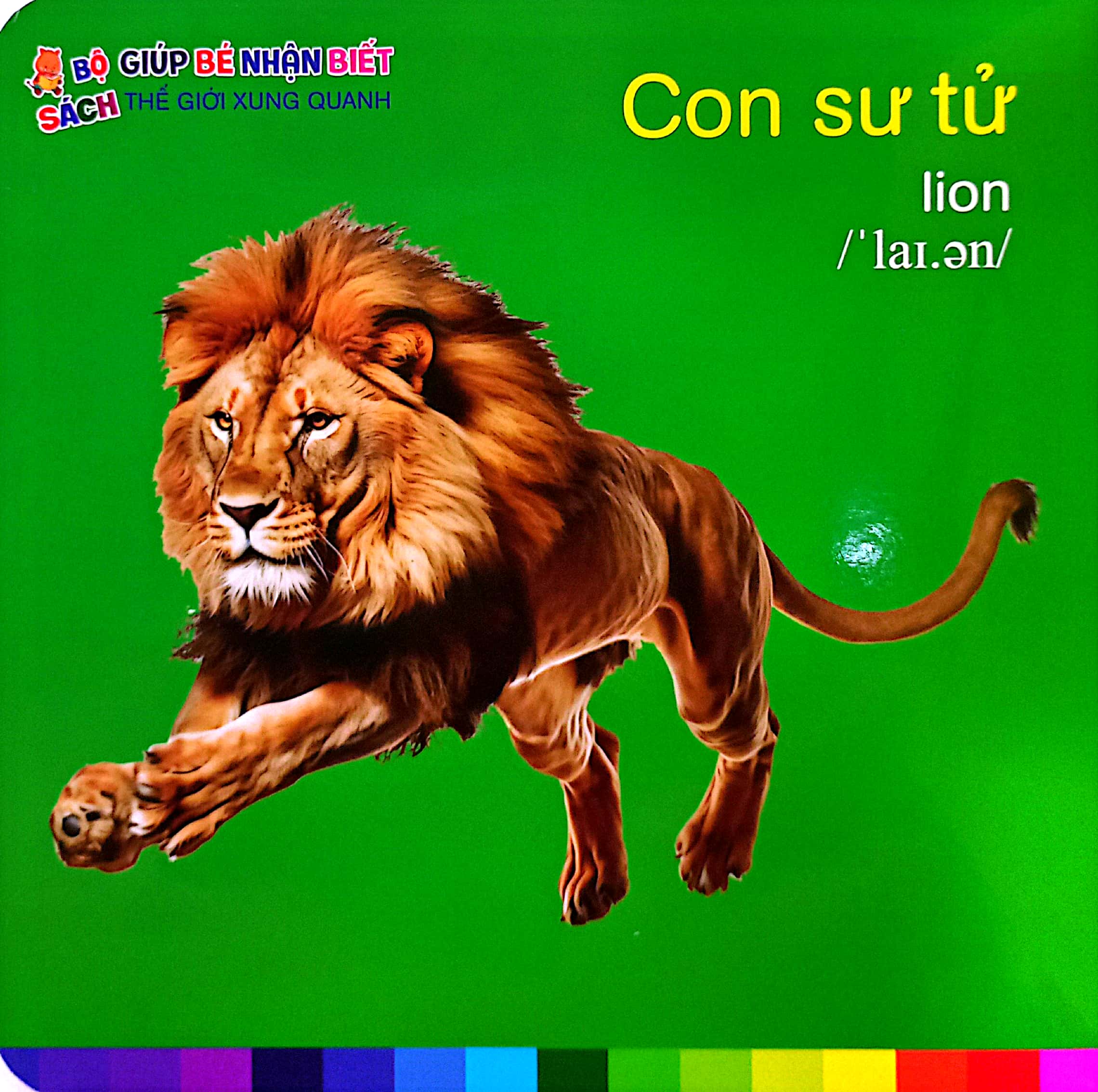 bé nhận biết thế giới xung quanh - động vật hoang dã - wild animals - Ảnh 5