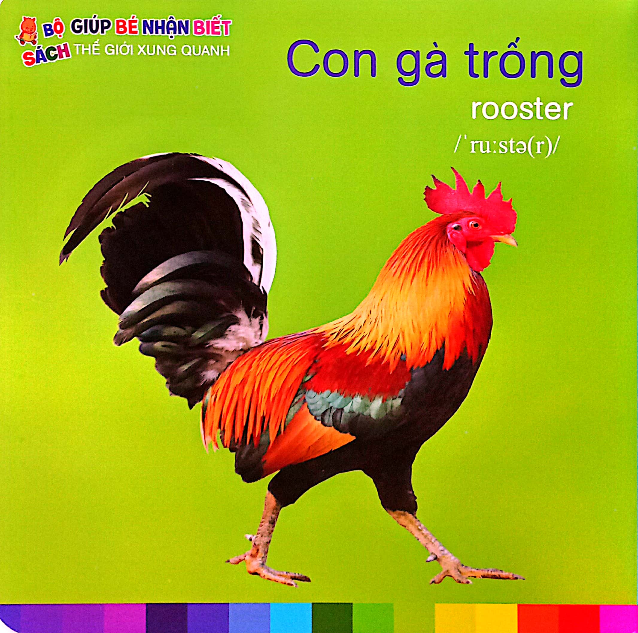 bé nhận biết thế giới xung quanh - động vật nuôi - domestic animals - Ảnh 3