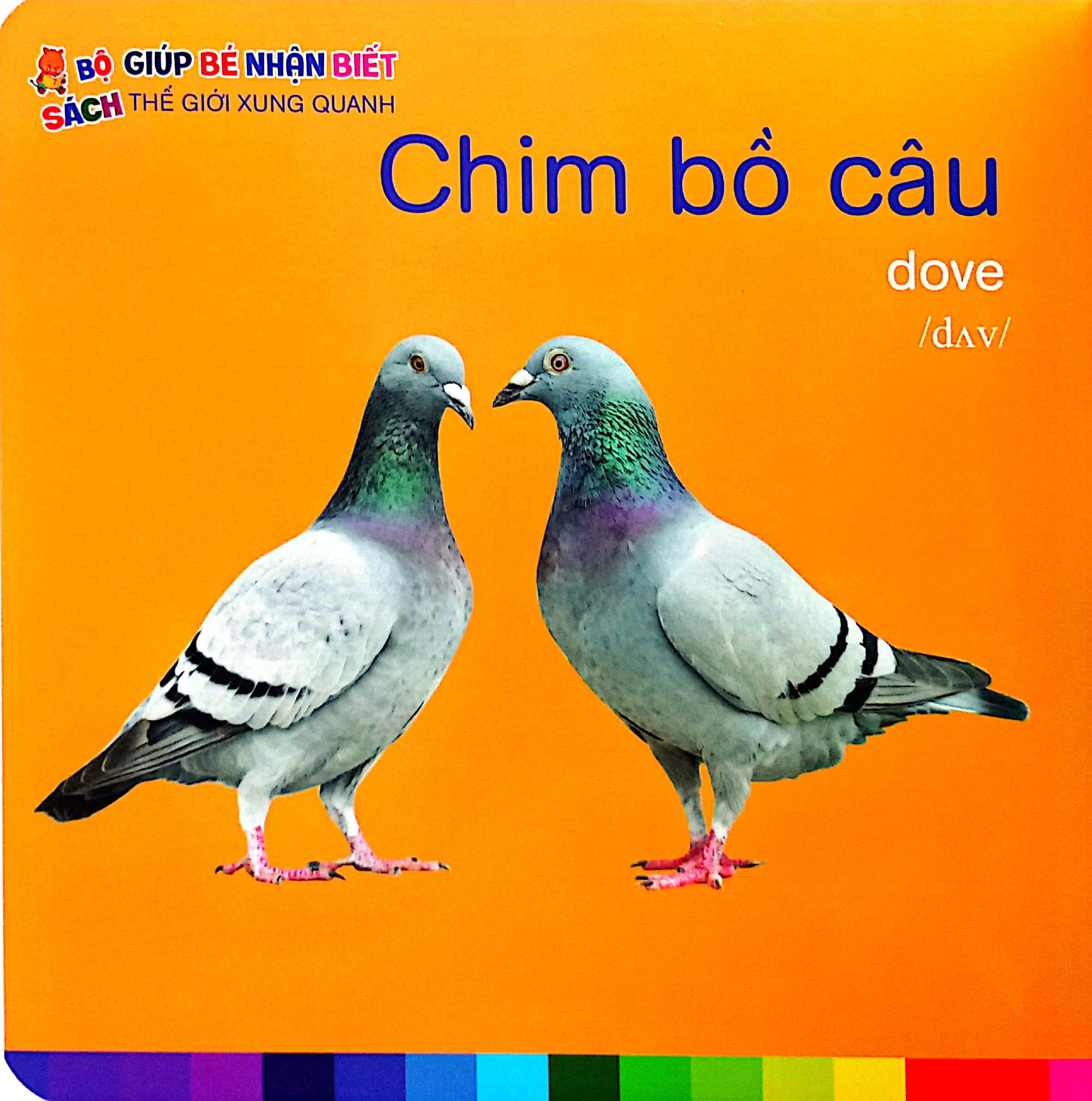 bé nhận biết thế giới xung quanh - động vật nuôi - domestic animals - Ảnh 5