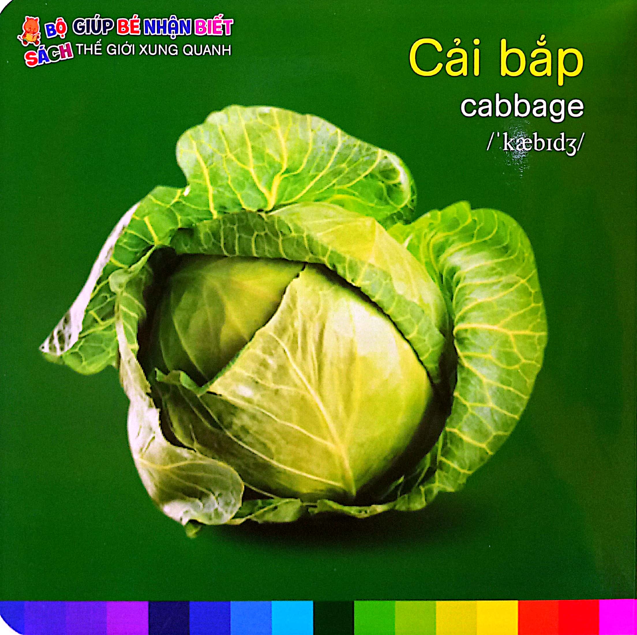 bé nhận biết thế giới xung quanh - rau củ quả - vegetalbles - Ảnh 3