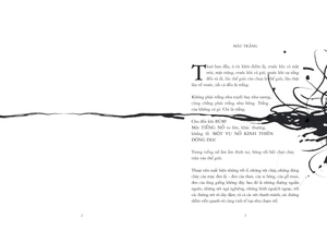 bé sương mù và những gã đa sắc - Ảnh 3