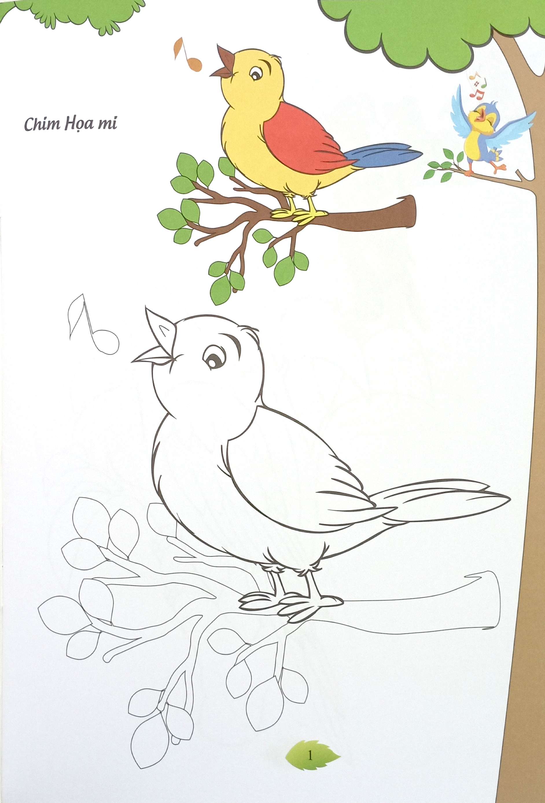 bé tập tô màu - các loài chim - Ảnh 3