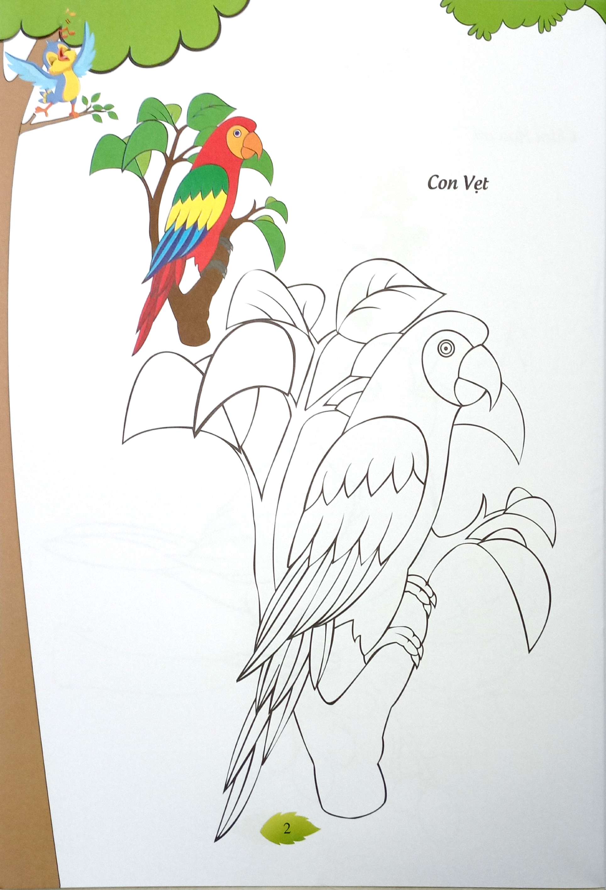 bé tập tô màu - các loài chim - Ảnh 4