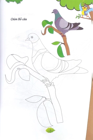 bé tập tô màu - các loài chim (tái bản 2023) - Ảnh 4